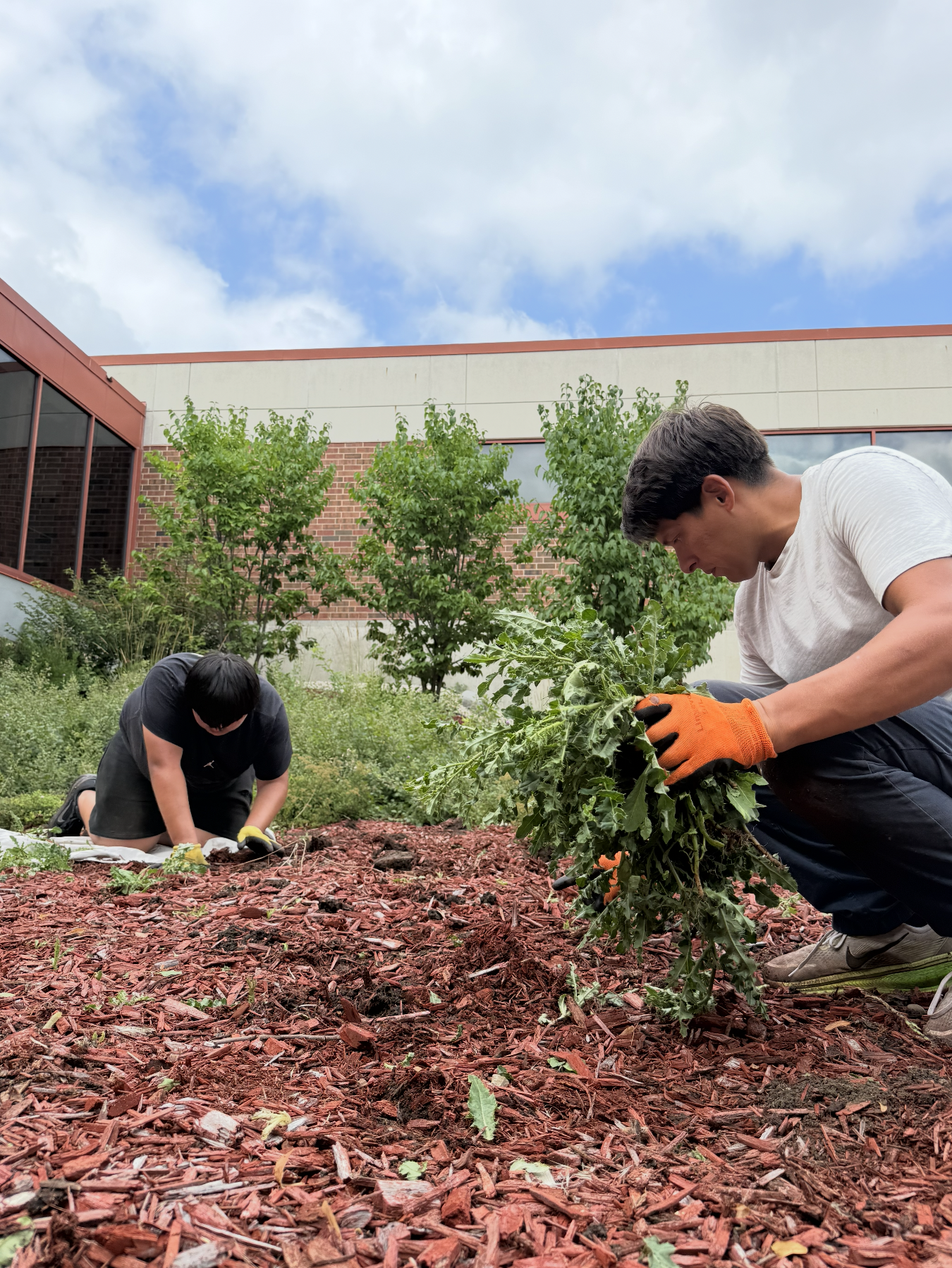 Everyday Landscaping crew performing landscape bed maintenance and property care in Waukesha County Wisconsin.