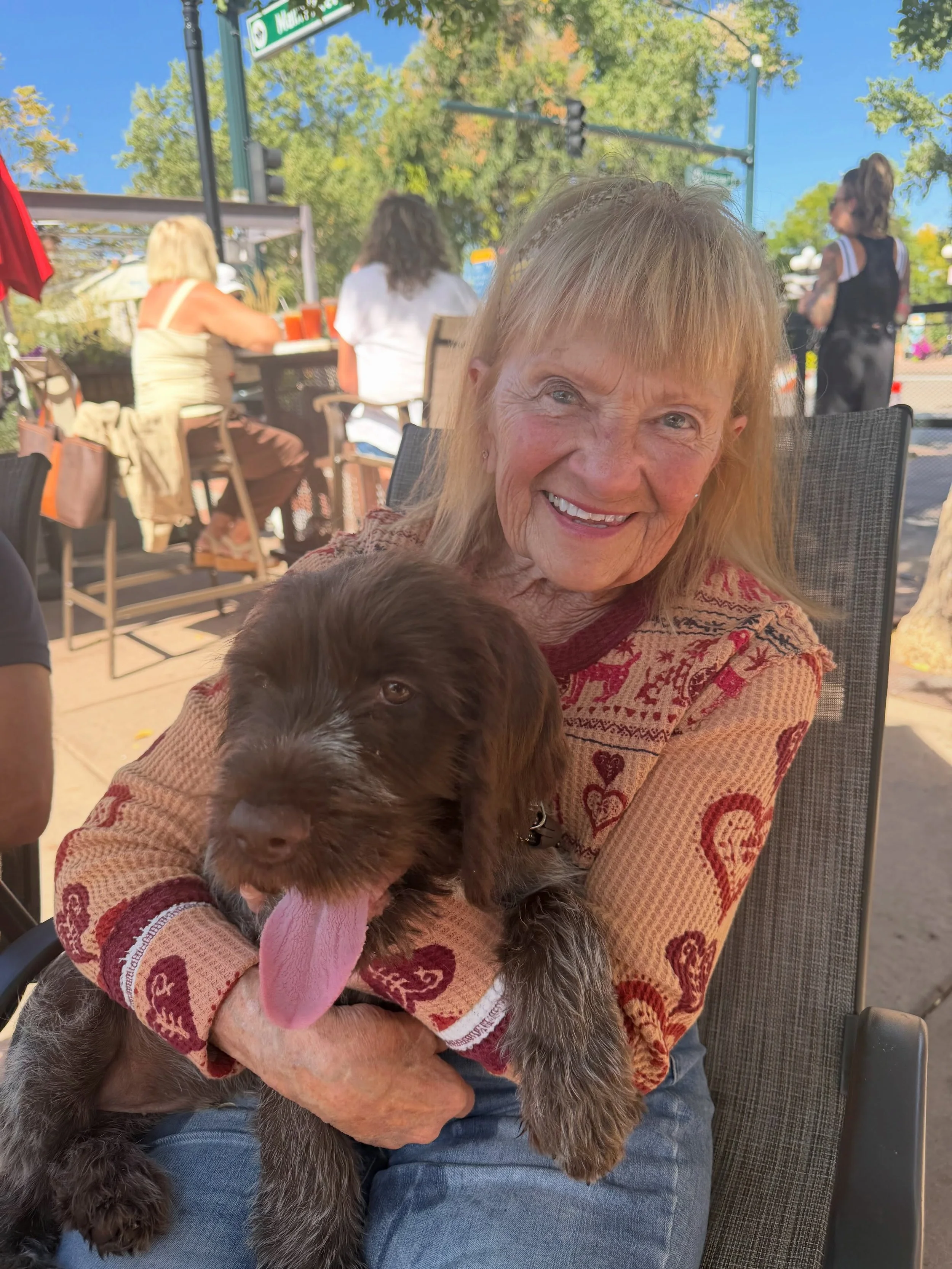 Wacky (now Moose!) found his forever home with sweet Regina and would could not be happier for the both of them! 

Regina said &ldquo;griffons are the breed for me because they are the best companions&rdquo; and we wholeheartedly agree!
