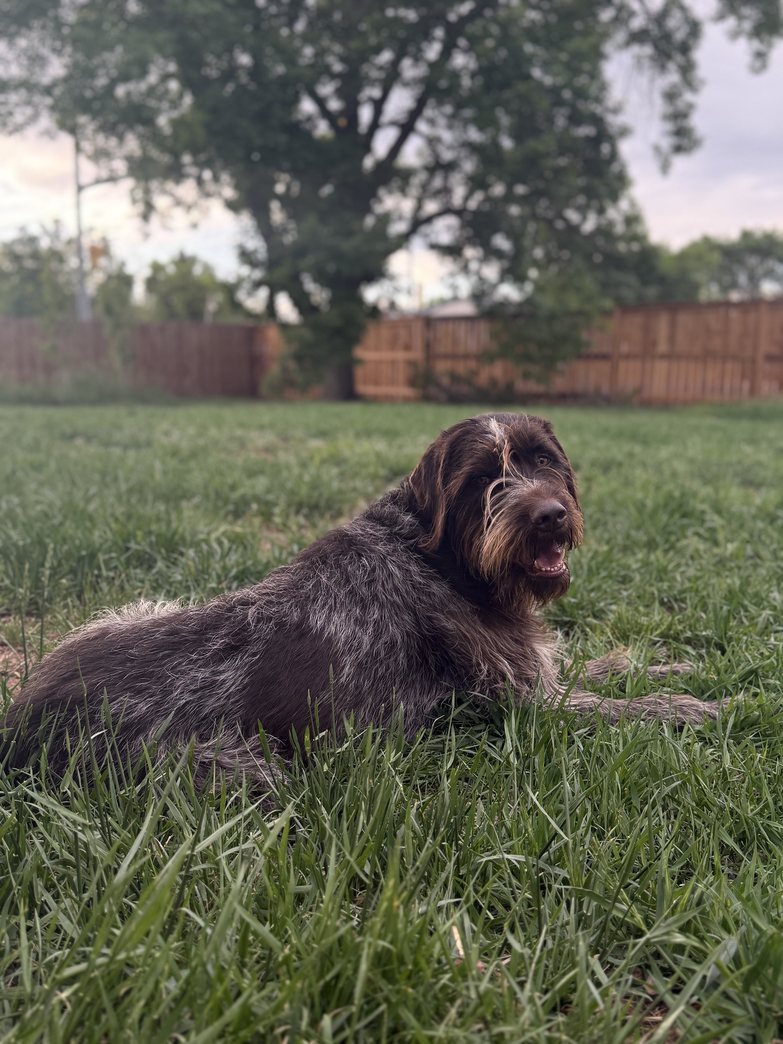 IMG_1597.jpeg