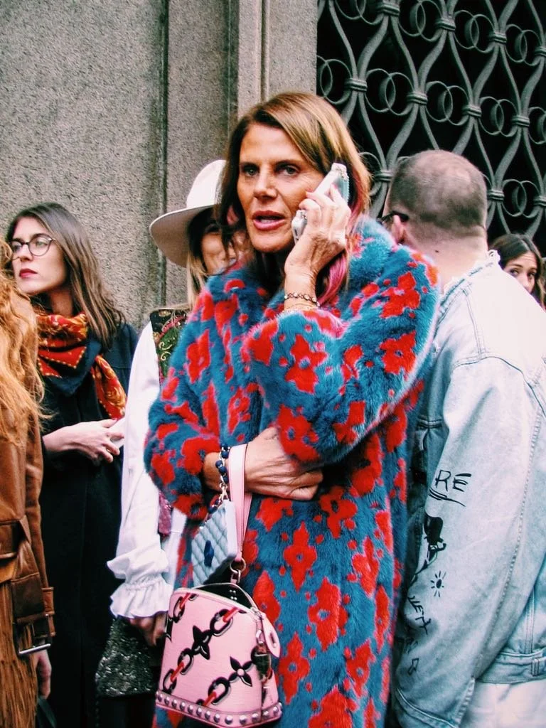 Anna Dello Russo.jpg