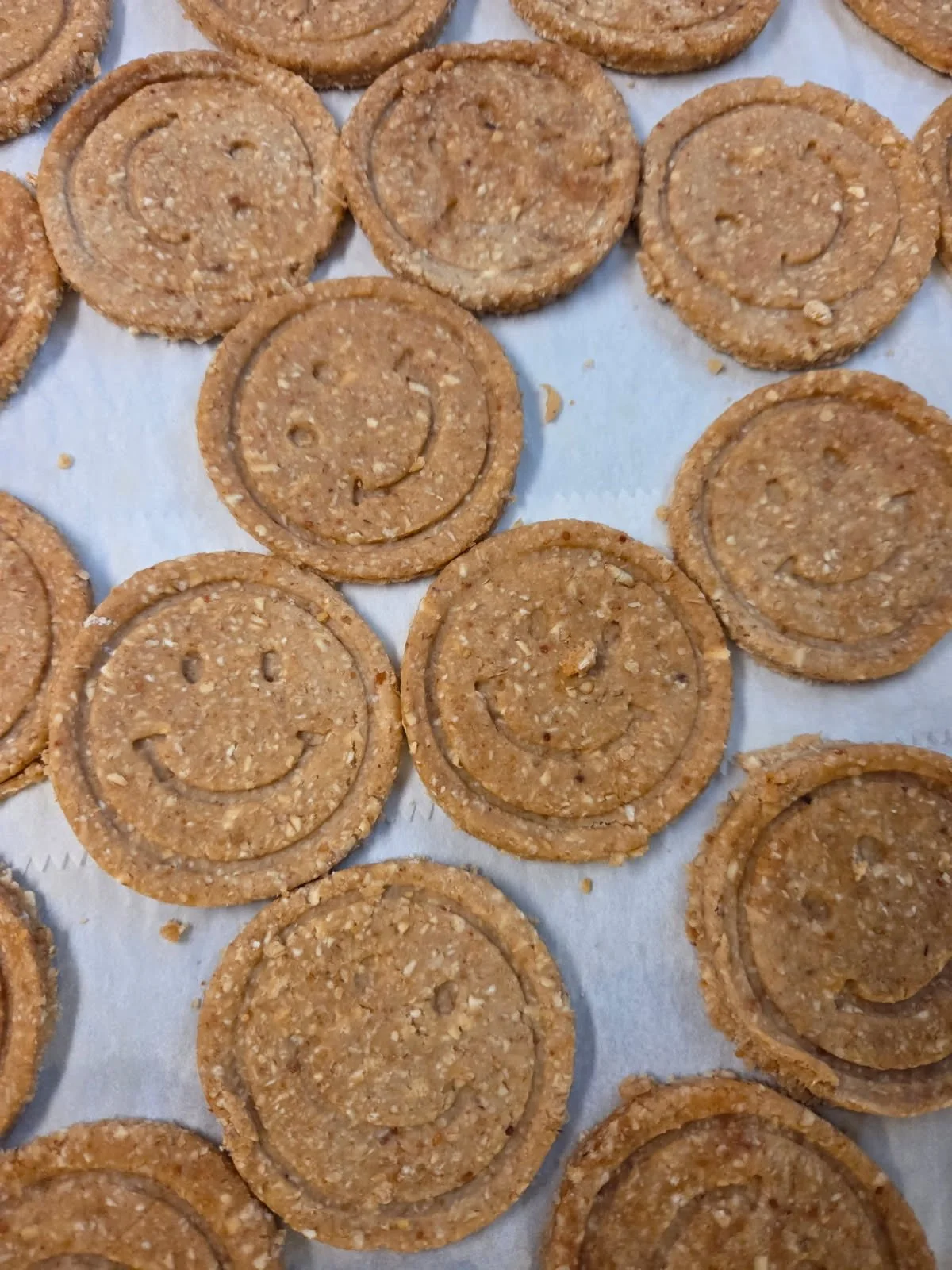 Crispy Apple Delights (Large Bag)