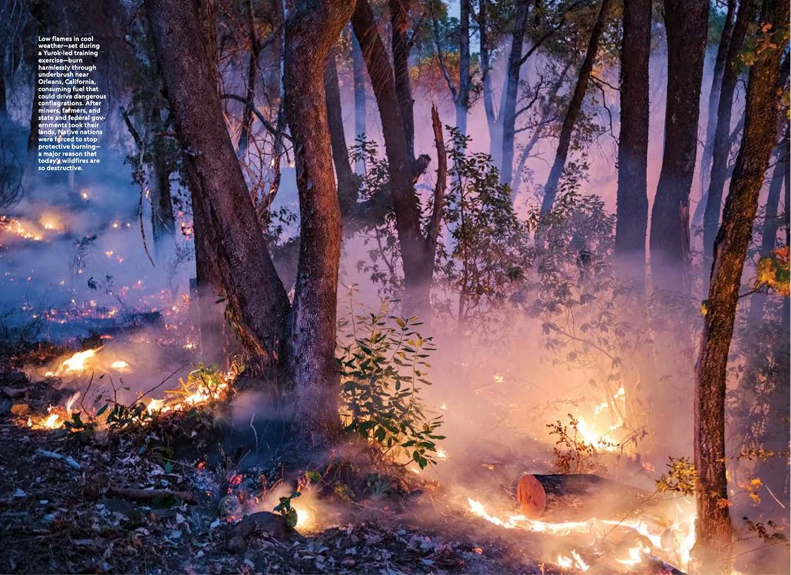 Forest on fire with flames and smoke among trees and plants, with a small log in the foreground.