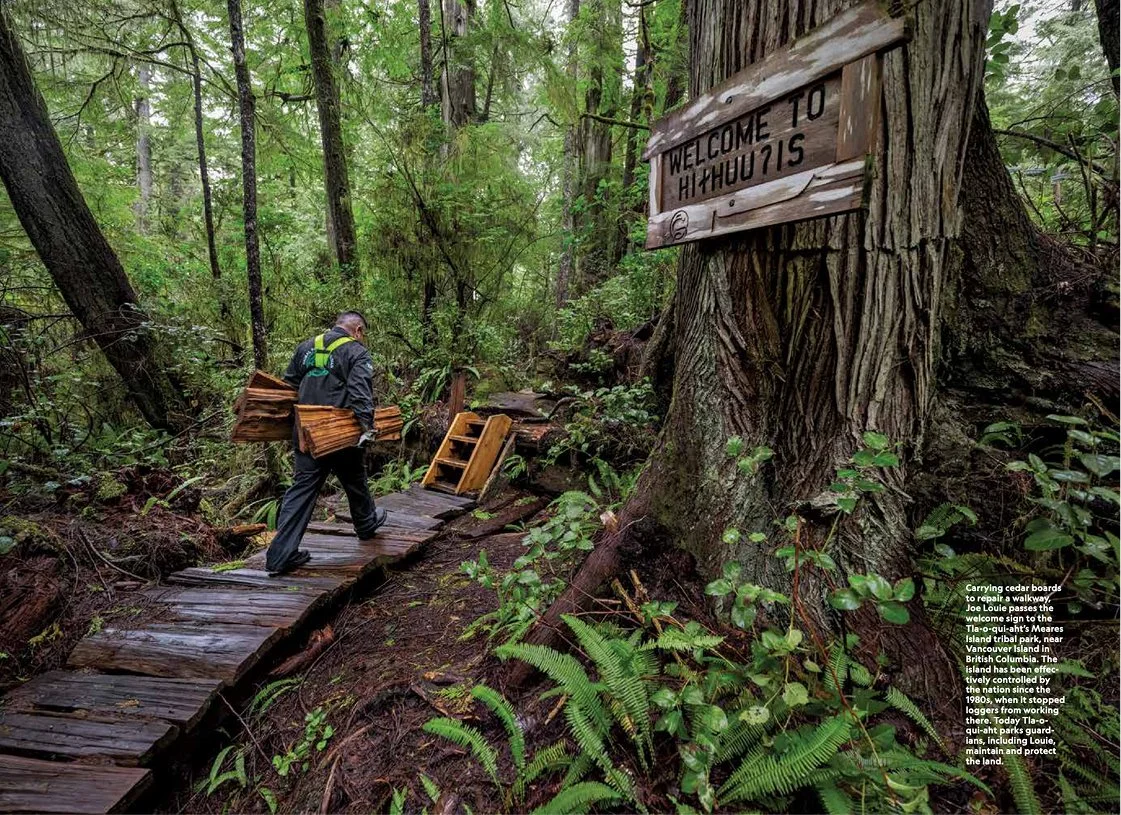 Man carrying cedar boards walking on a wooden trail in a dense forest with green foliage. A wooden sign on a tree reads 'Welcome to Hithou 715.'