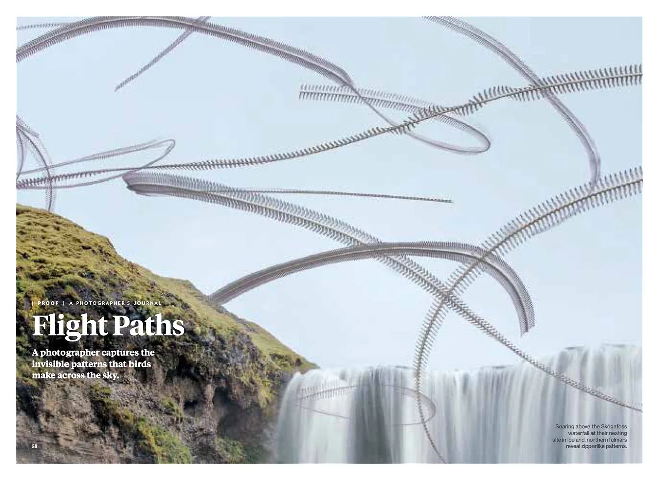 A magazine spread featuring the headline "Flight Paths" and an image of birds flying.