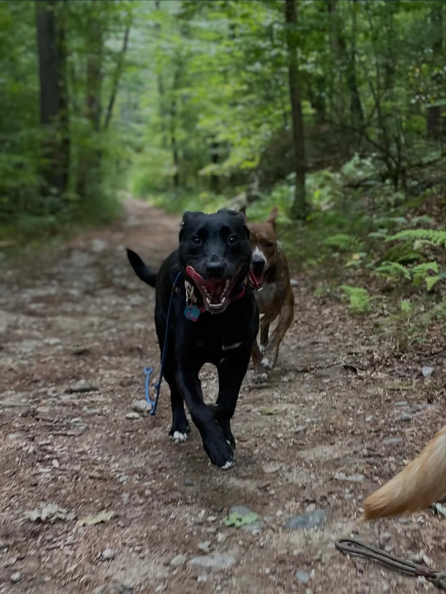 B56C97D0-7787-4885-A6E9-7F0D553082C9.jpeg