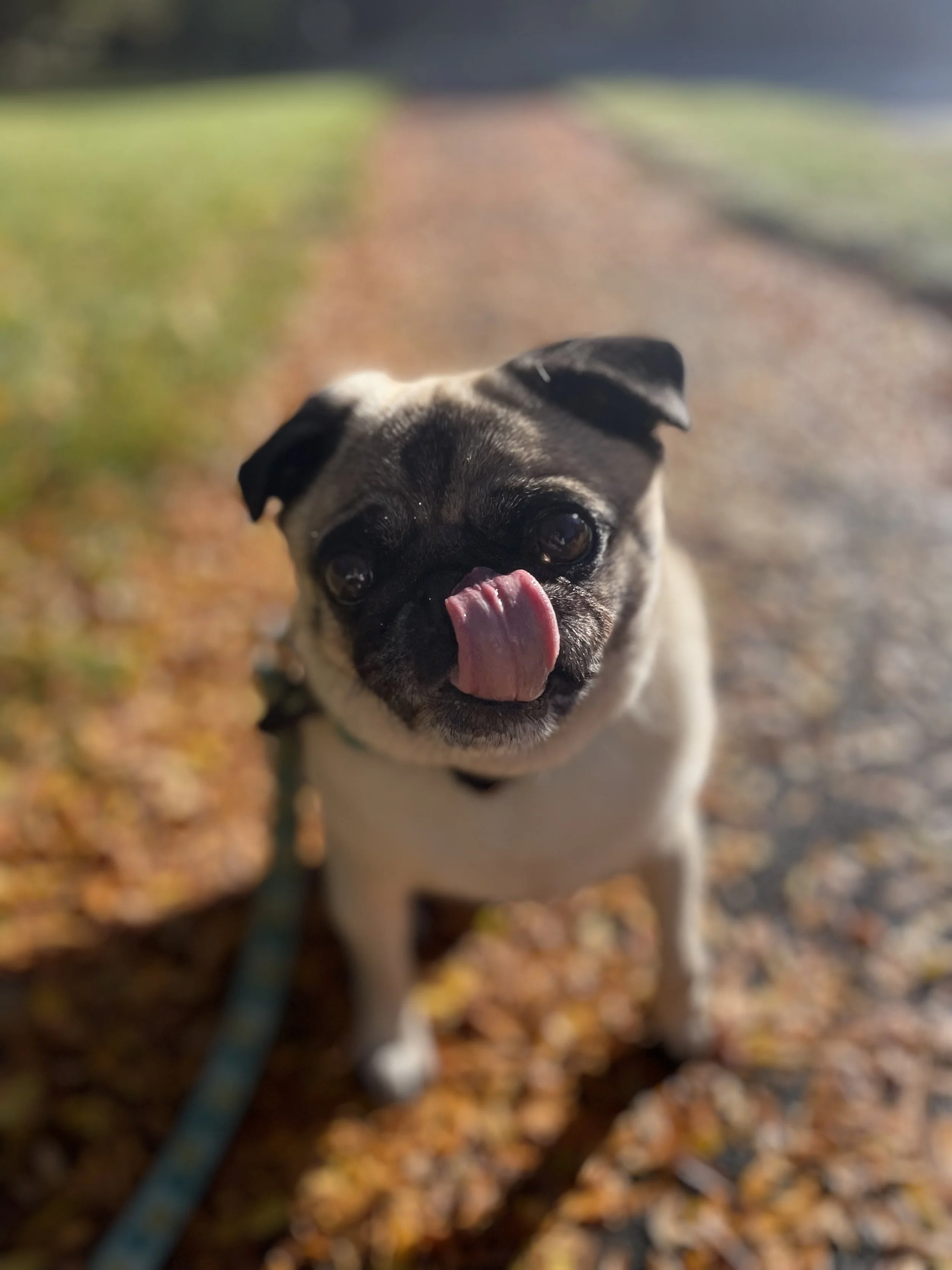 IMG_2813.jpeg