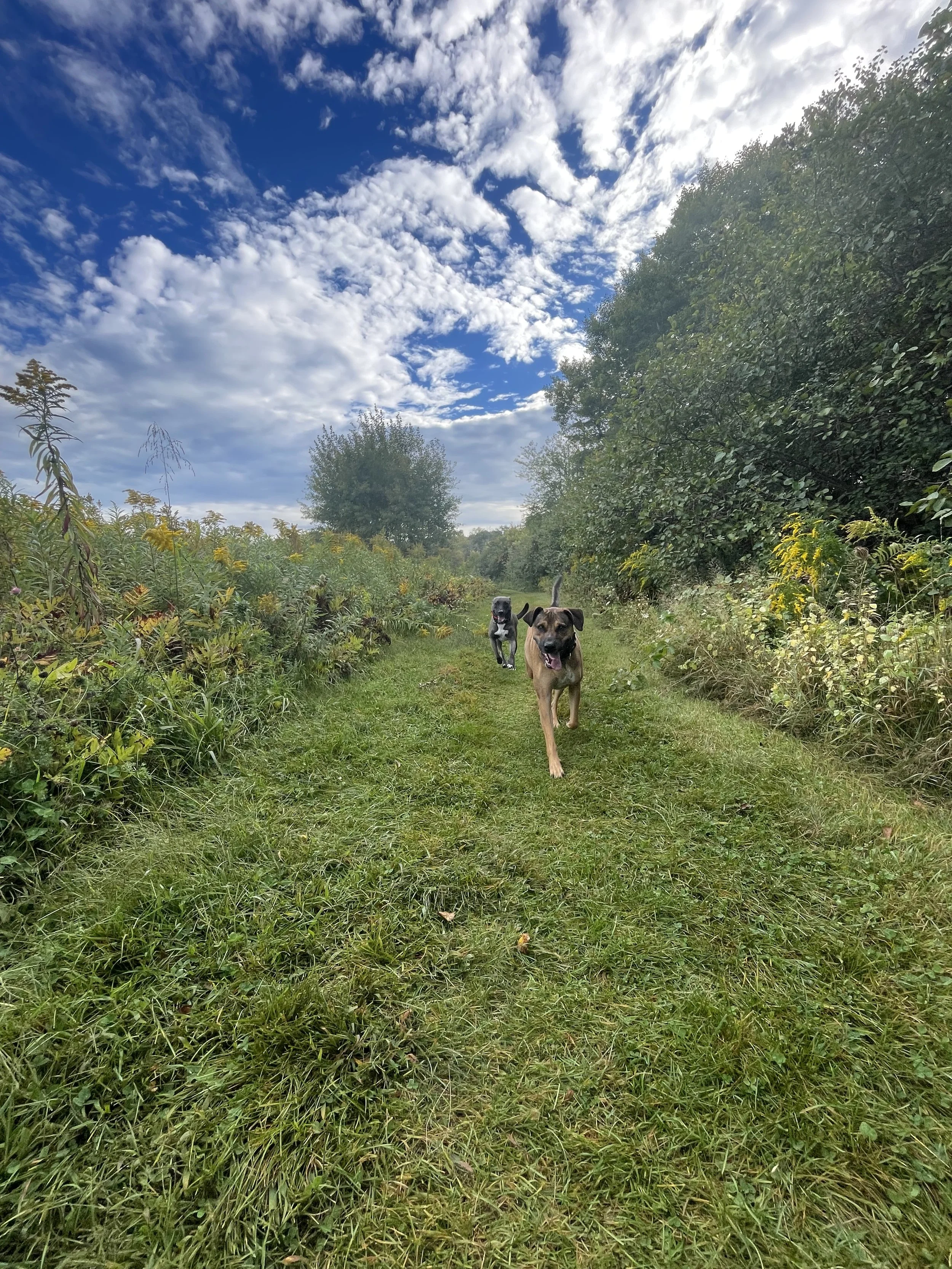 IMG_7293.jpeg