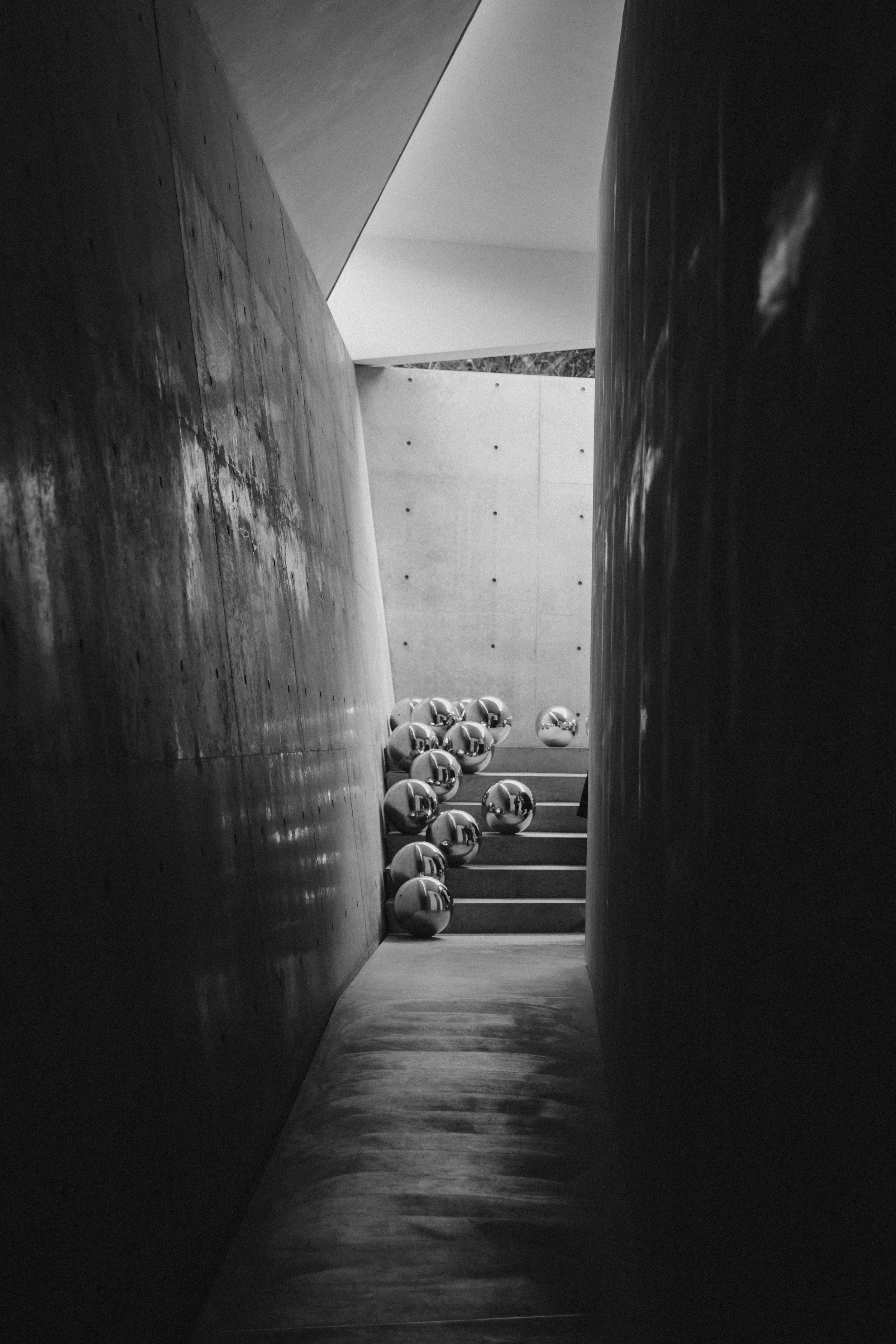 0S8A6145.jpg