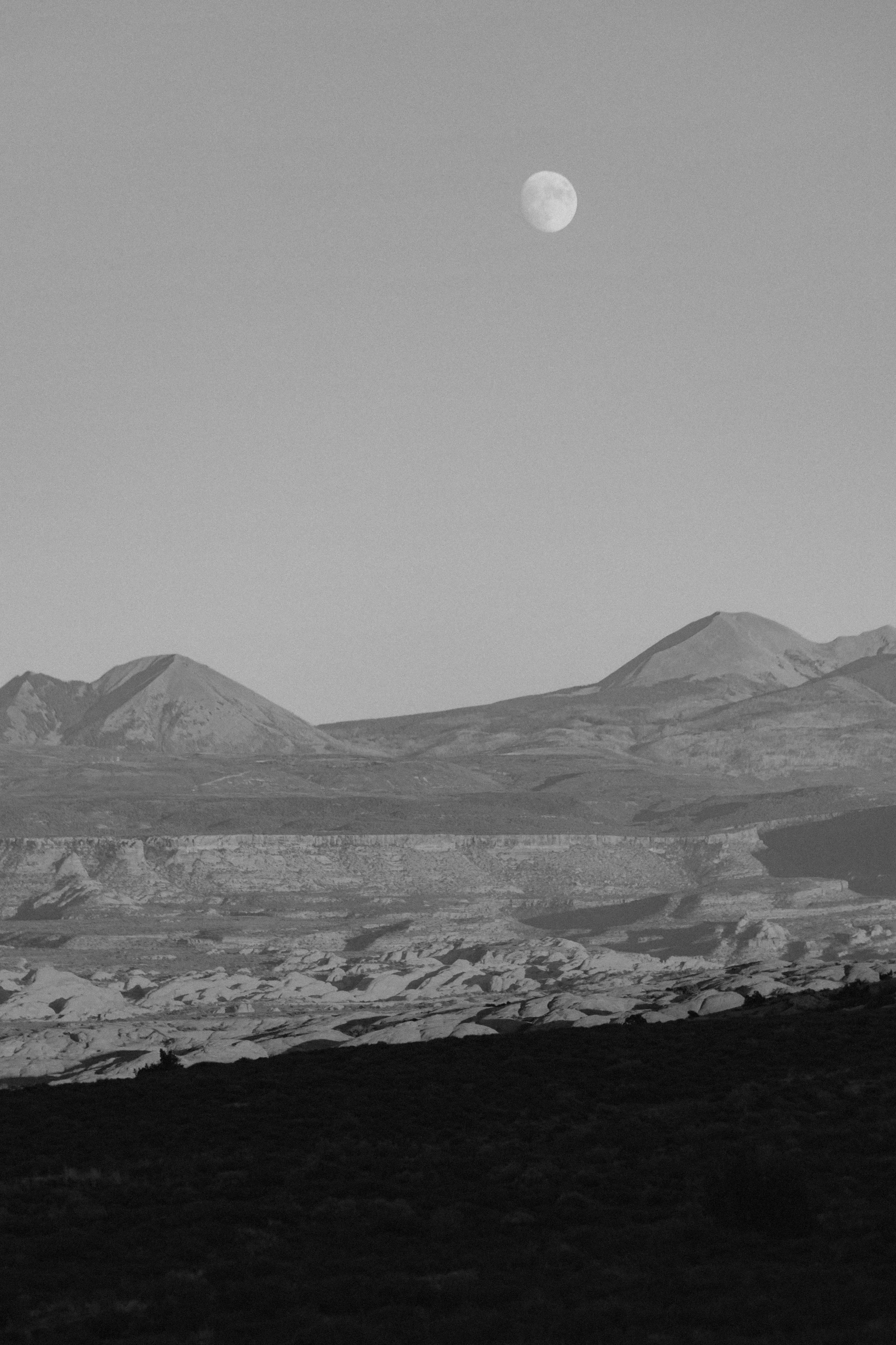 0S8A0858.jpg