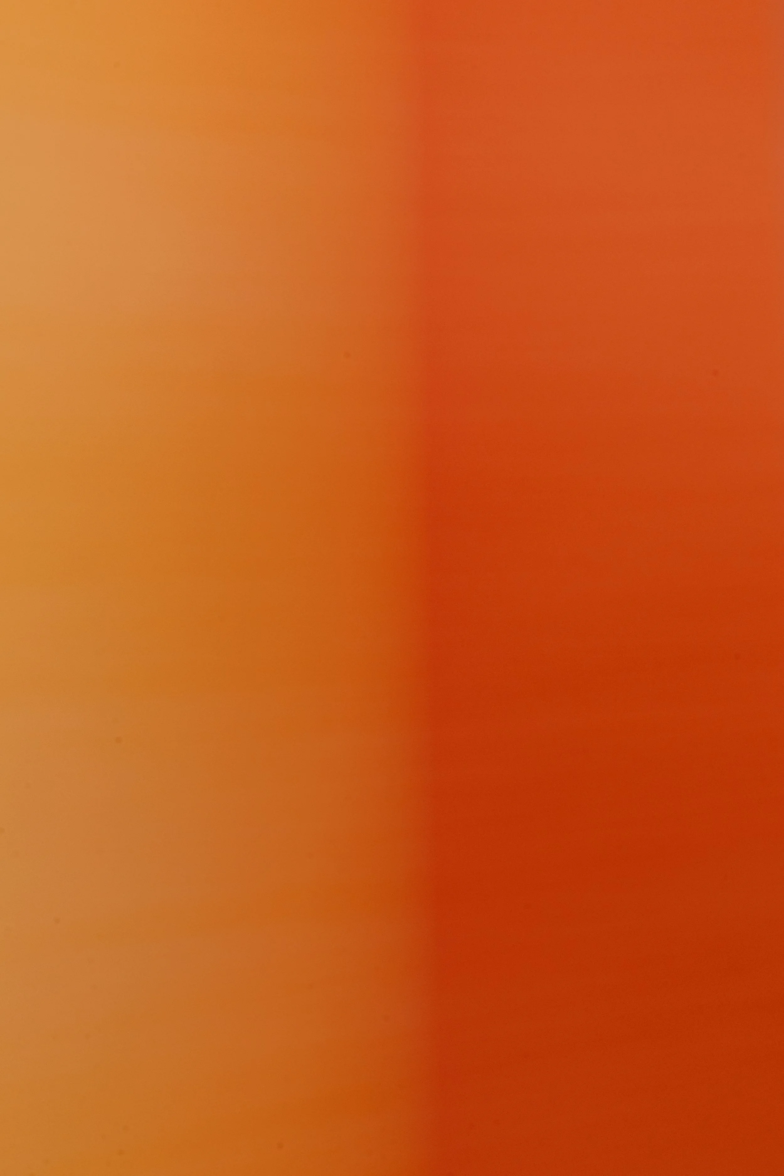 0S8A8405.jpg