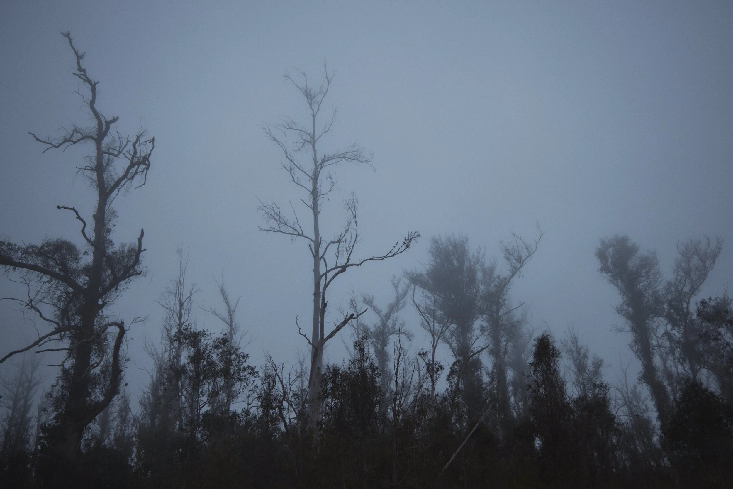 000A7496.jpg