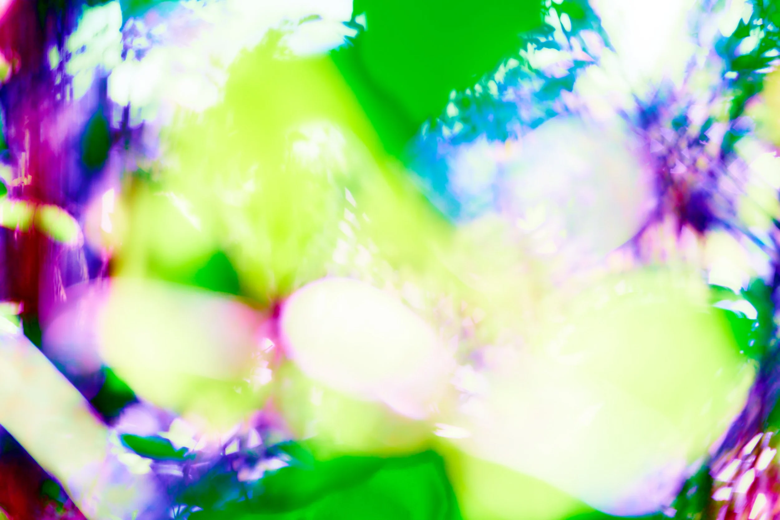 HirotoYamauchi_InfiniteSaturation_ 1.jpg