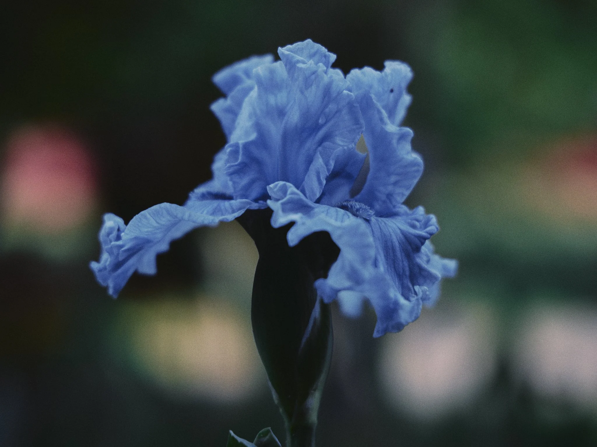000A3165.jpg