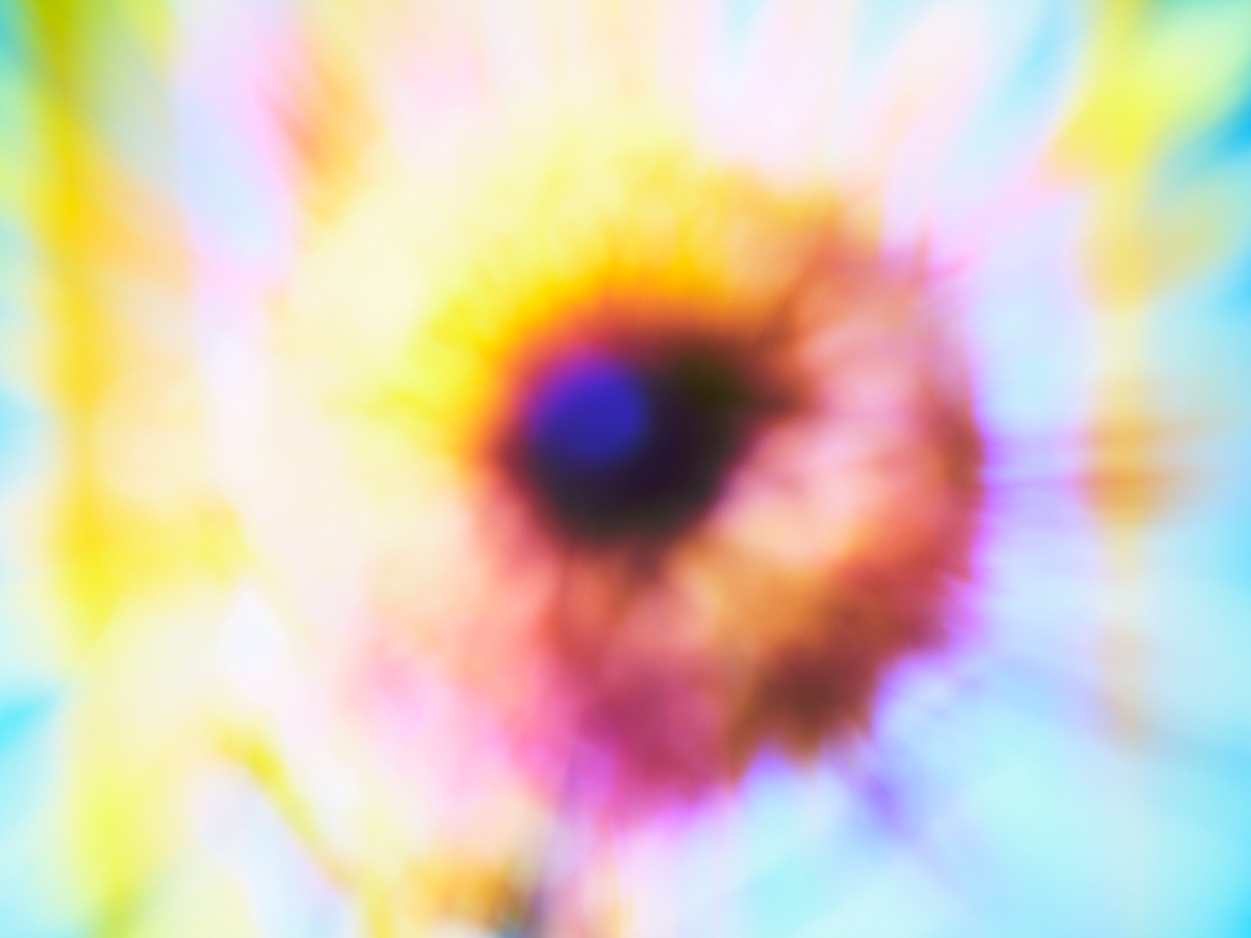 _DSF6340.jpg