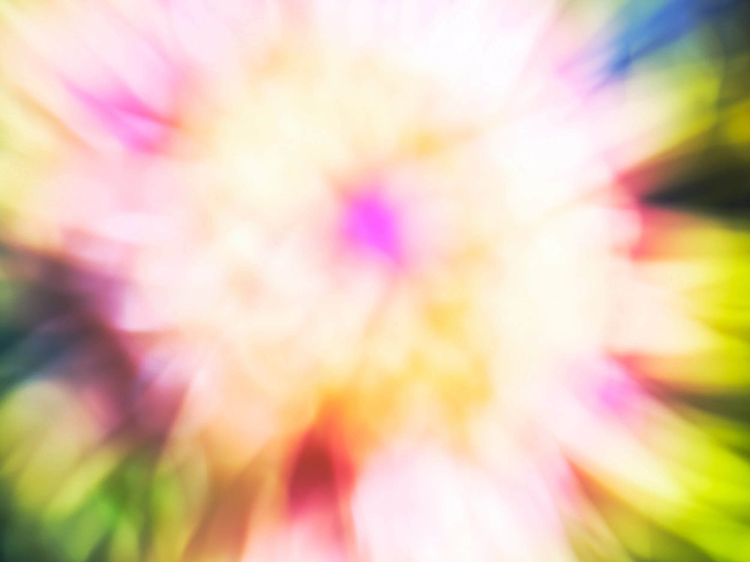_DSF6288.jpg