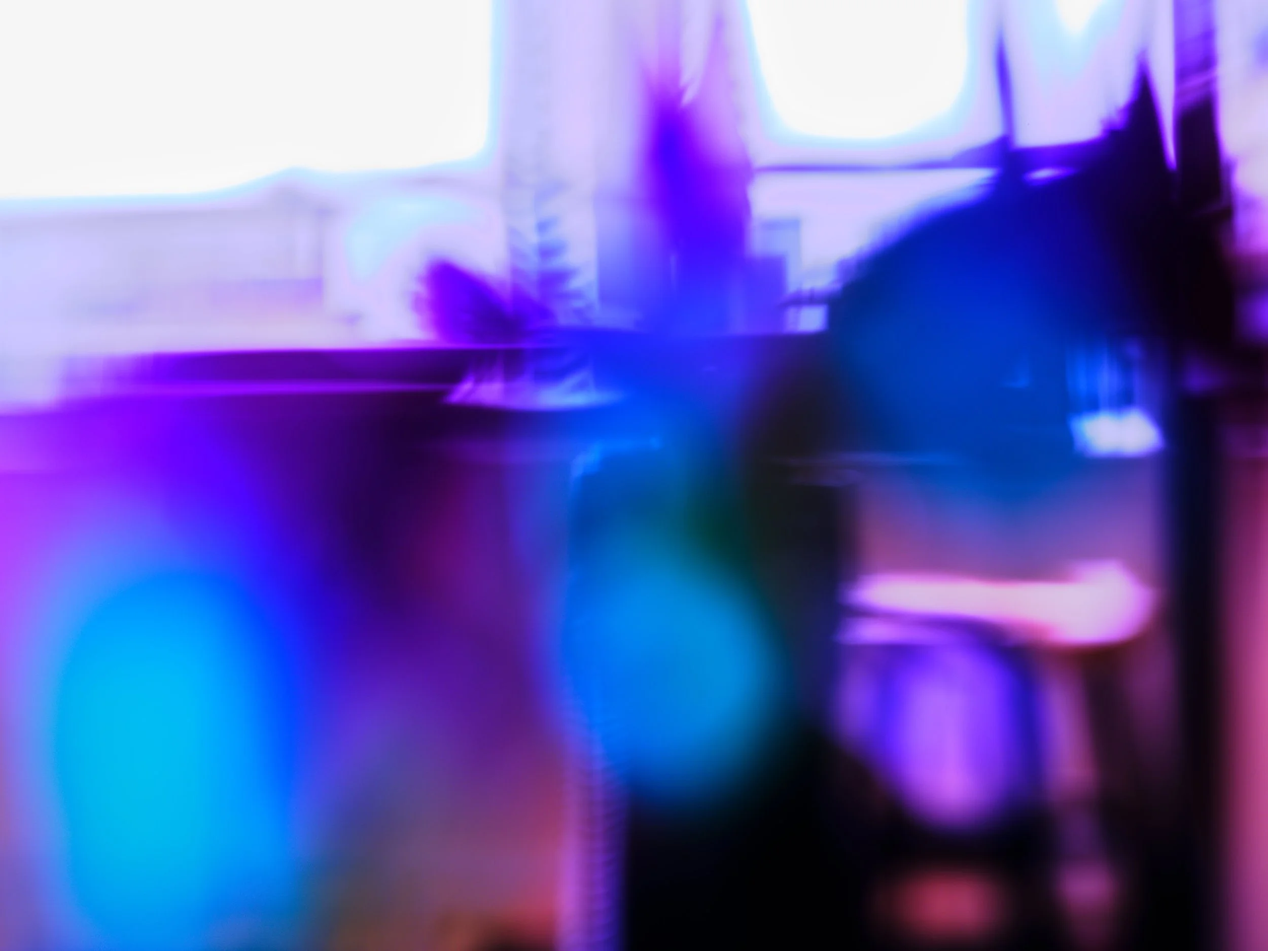 _DSF7412.jpg