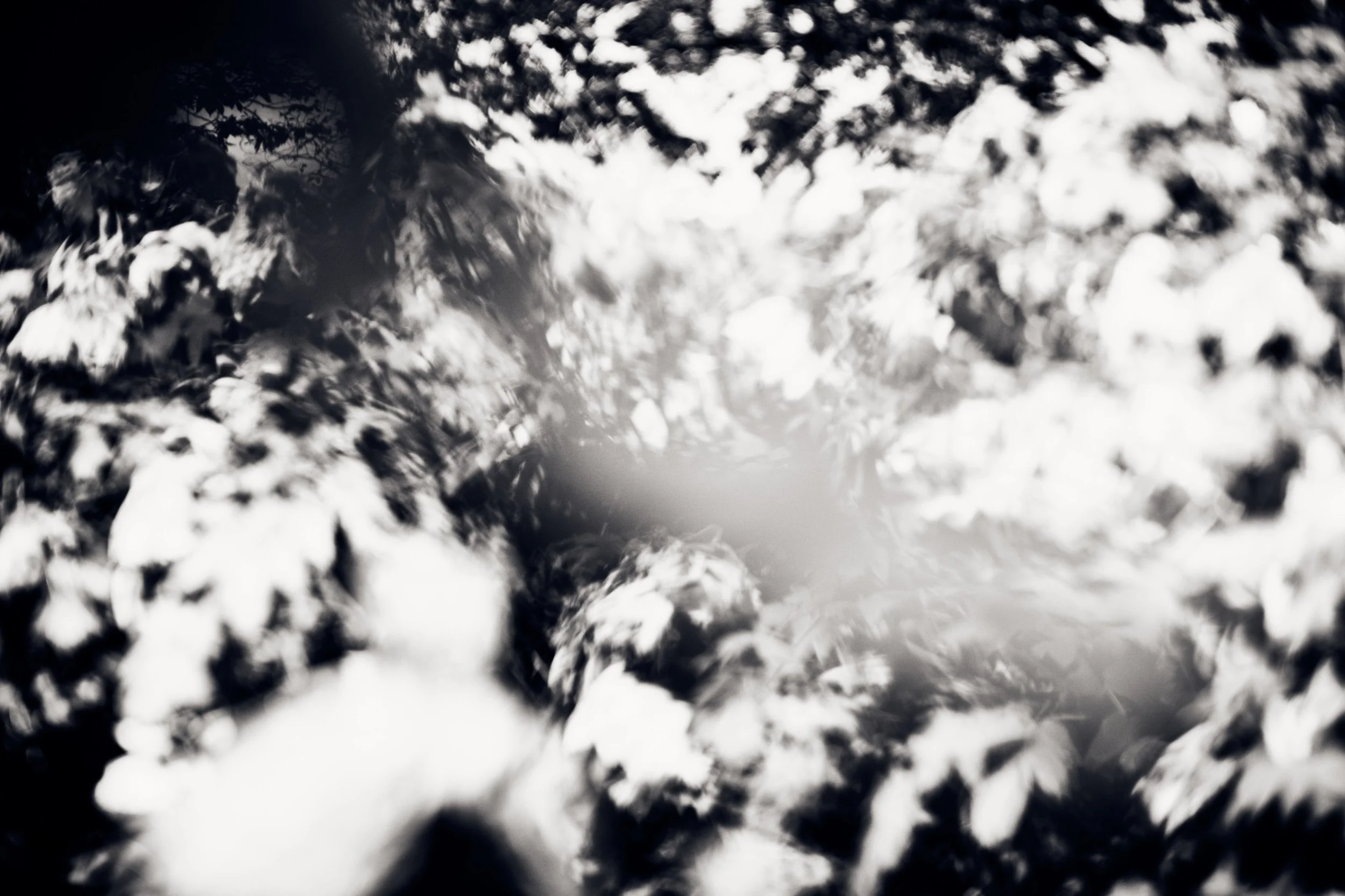 HirotoYamauchi_InfiniteSaturation_ 2.jpg