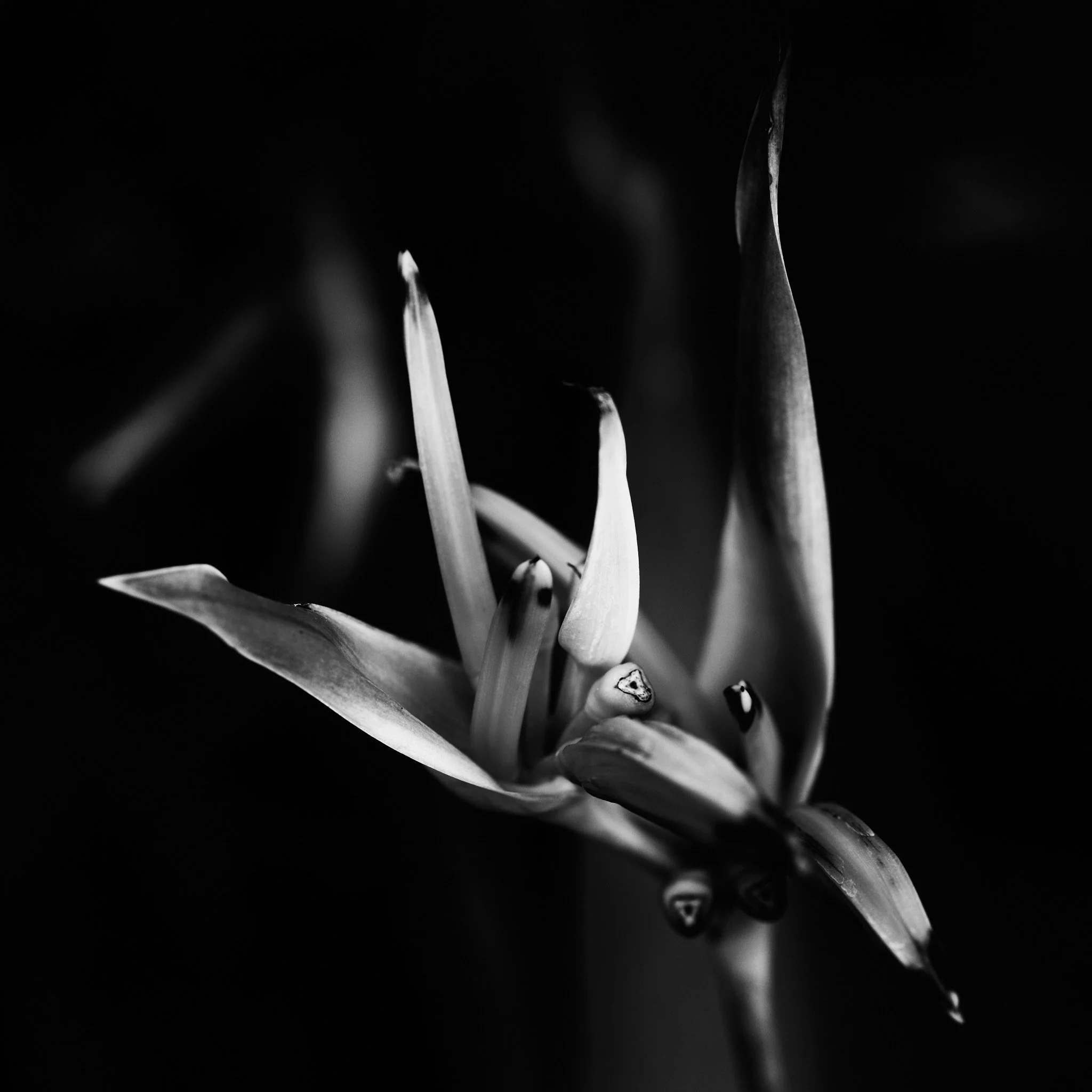 000A4945.jpg