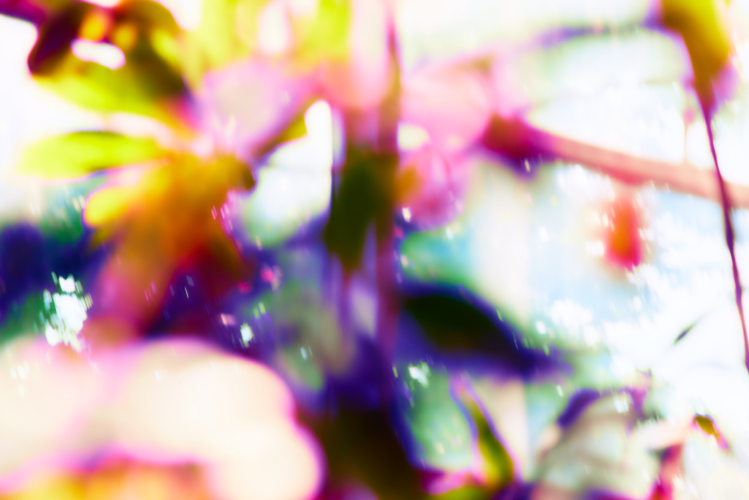 HirotoYamauchi_InfiniteSaturation_ 0.jpg