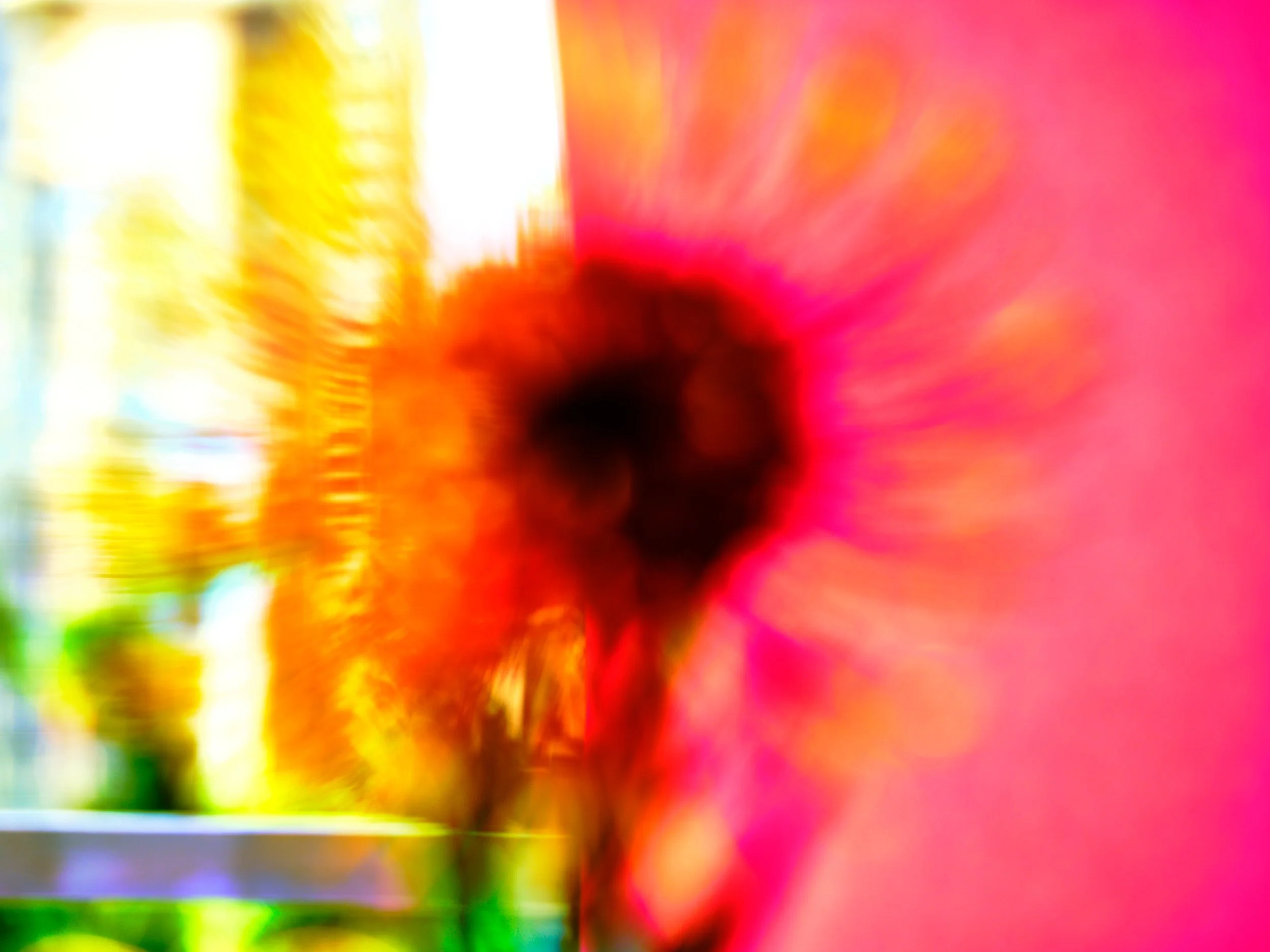_DSF6204.jpg