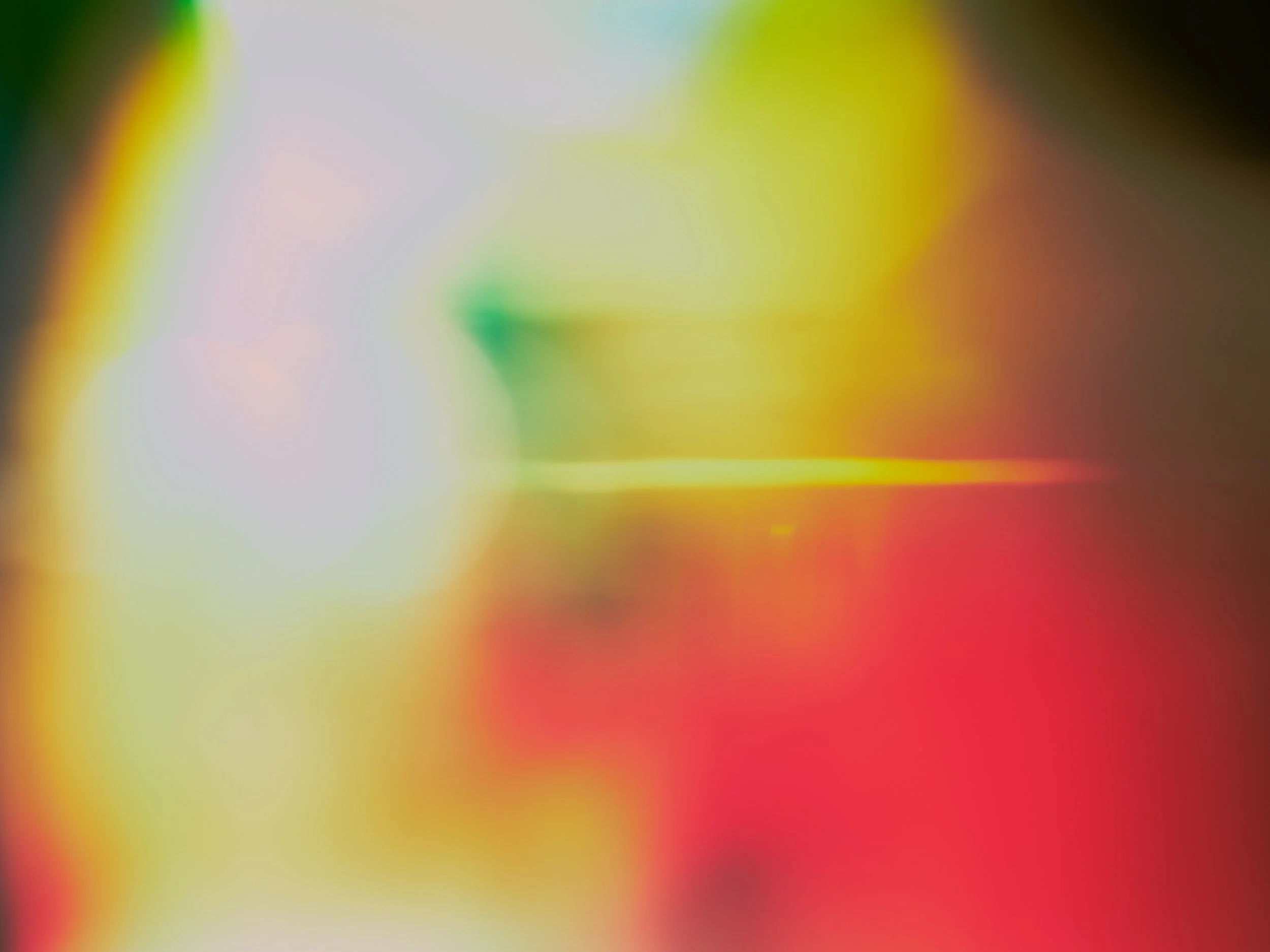 _DSF2249.jpg