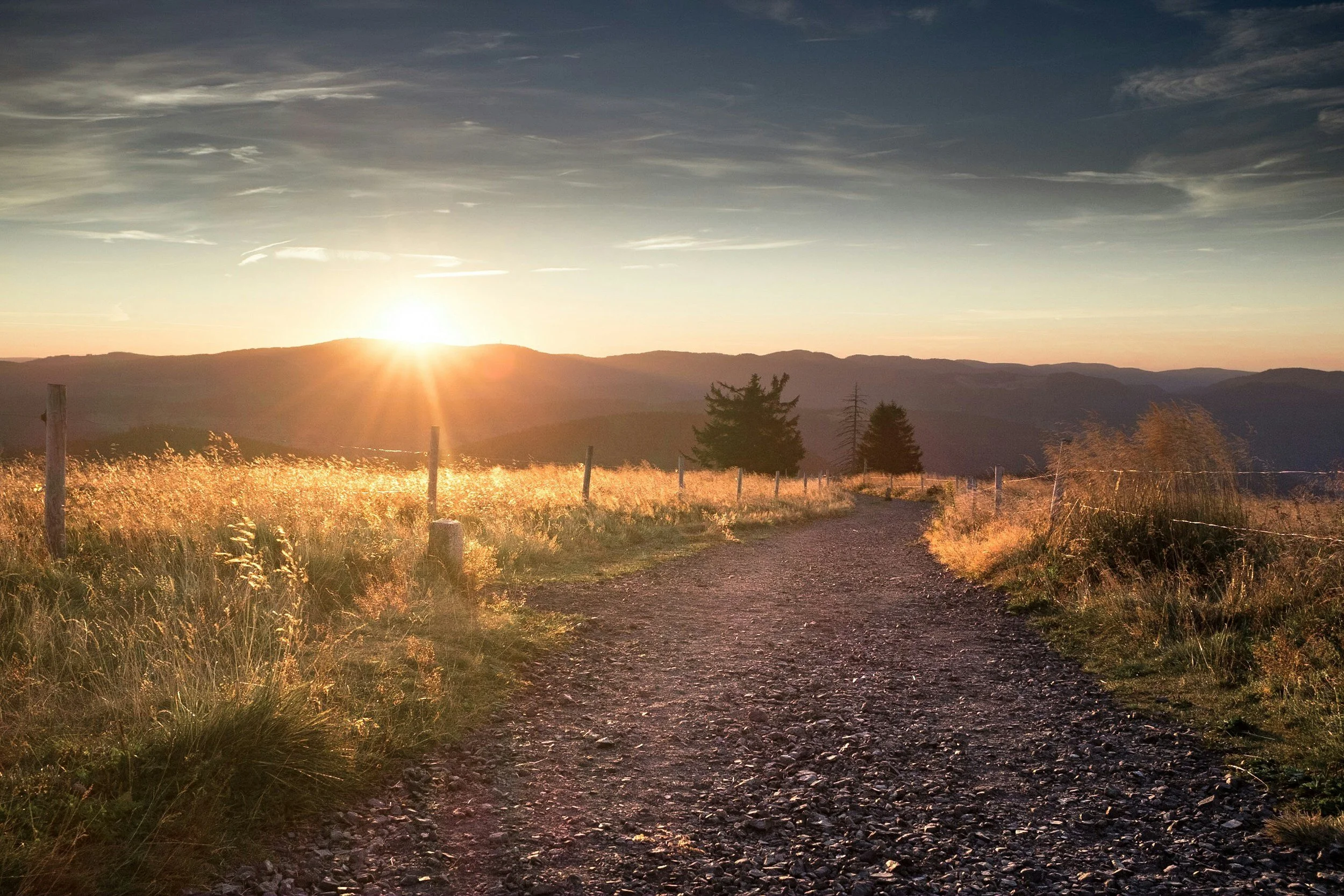 You’re Allowed to Not Recognize Your Life Right Now
