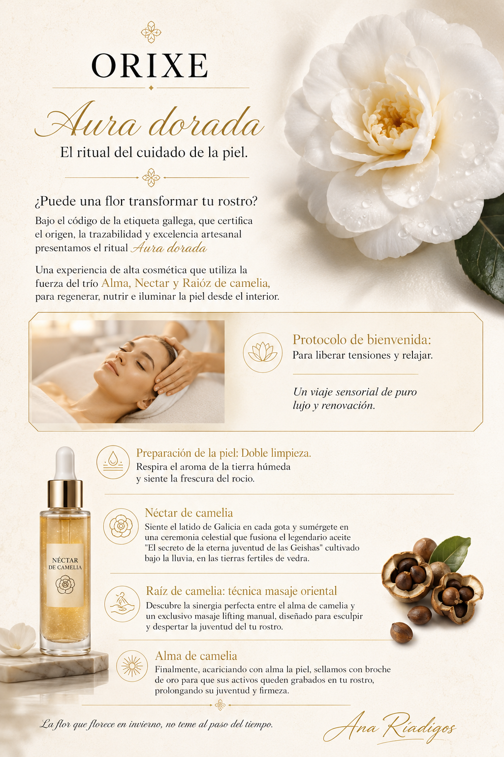 Anuncio de un ritual de cuidado facial llamado Aura dorada, con una flor blanca, una mujer recibiendo un masaje facial, y una botella de aceite de camelia. Texto en español que describe el ritual y sus pasos.