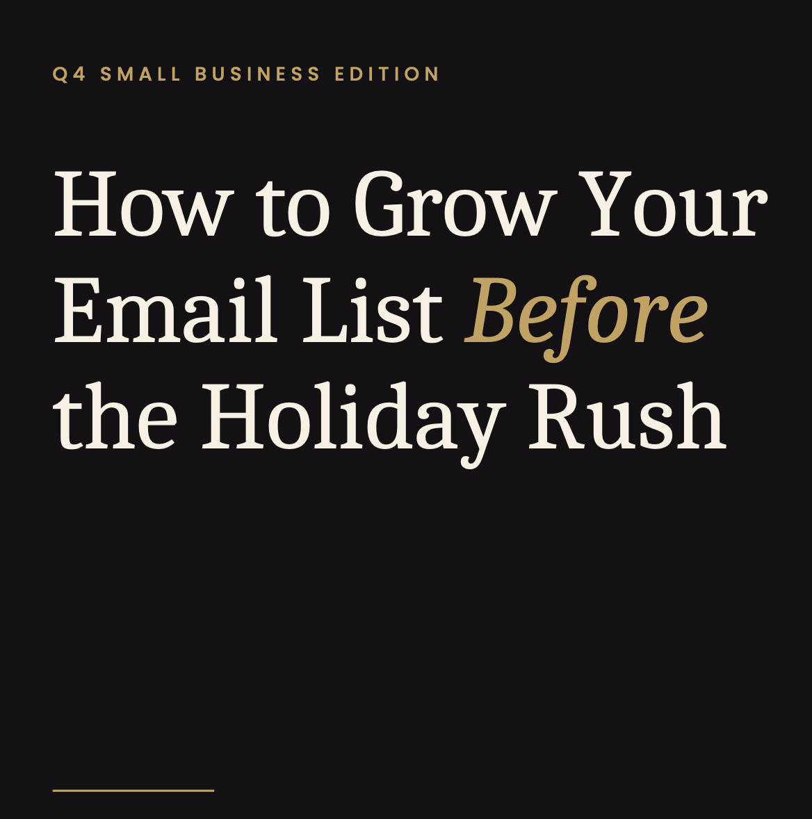 How to Grow Your Email List Black Friday / Q4 Small Business Edition