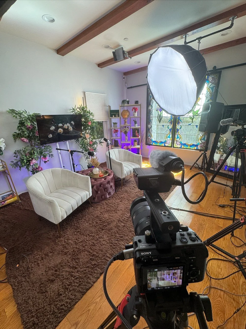 Home studio setup with camera, softbox, microphones, two white armchairs, a TV, shelves with plants and decorative items, and a stained glass window.