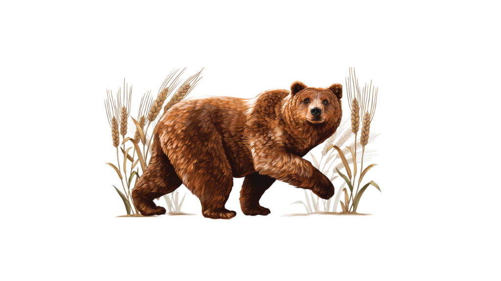 Henry's Organic