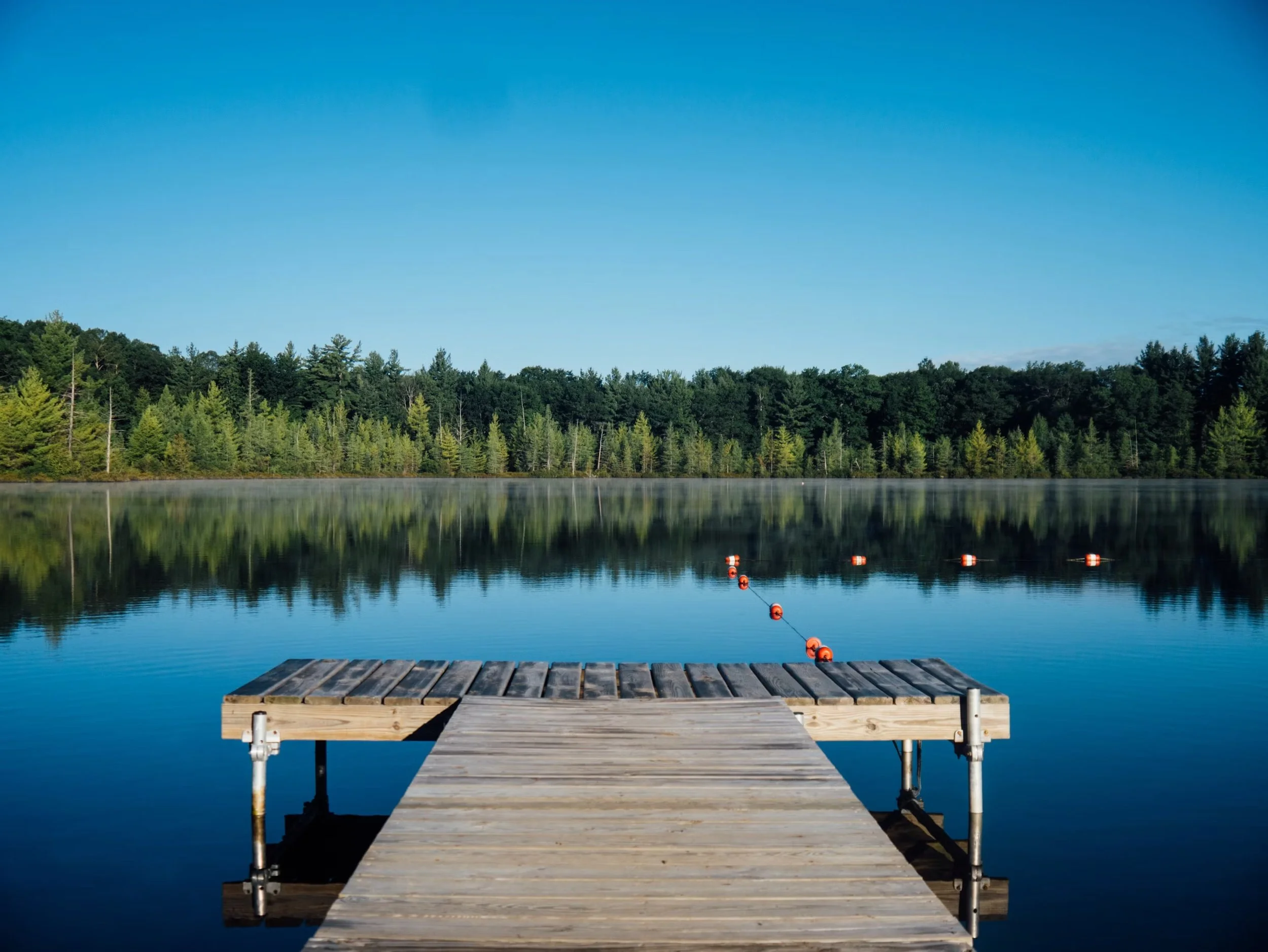 A wooden dock extends over calm water toward a tree-lined shore under a clear blue sky.