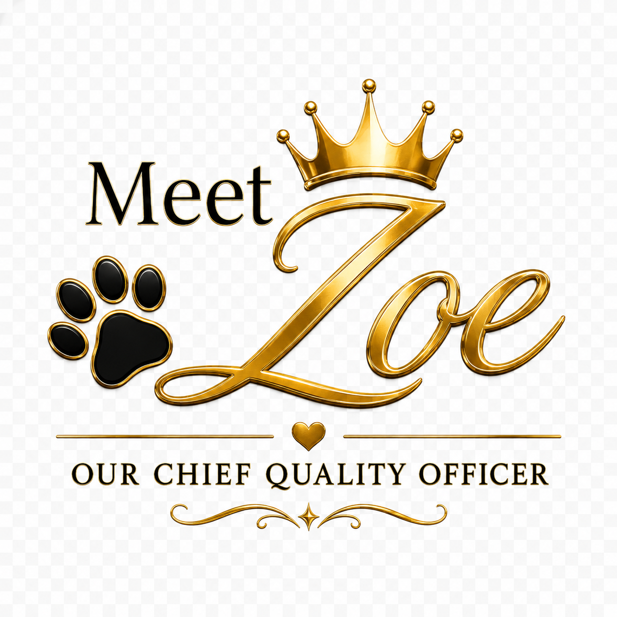 Meet Zoe, the Chief Quality Officer and mascot of Meireles Cleaning Services.