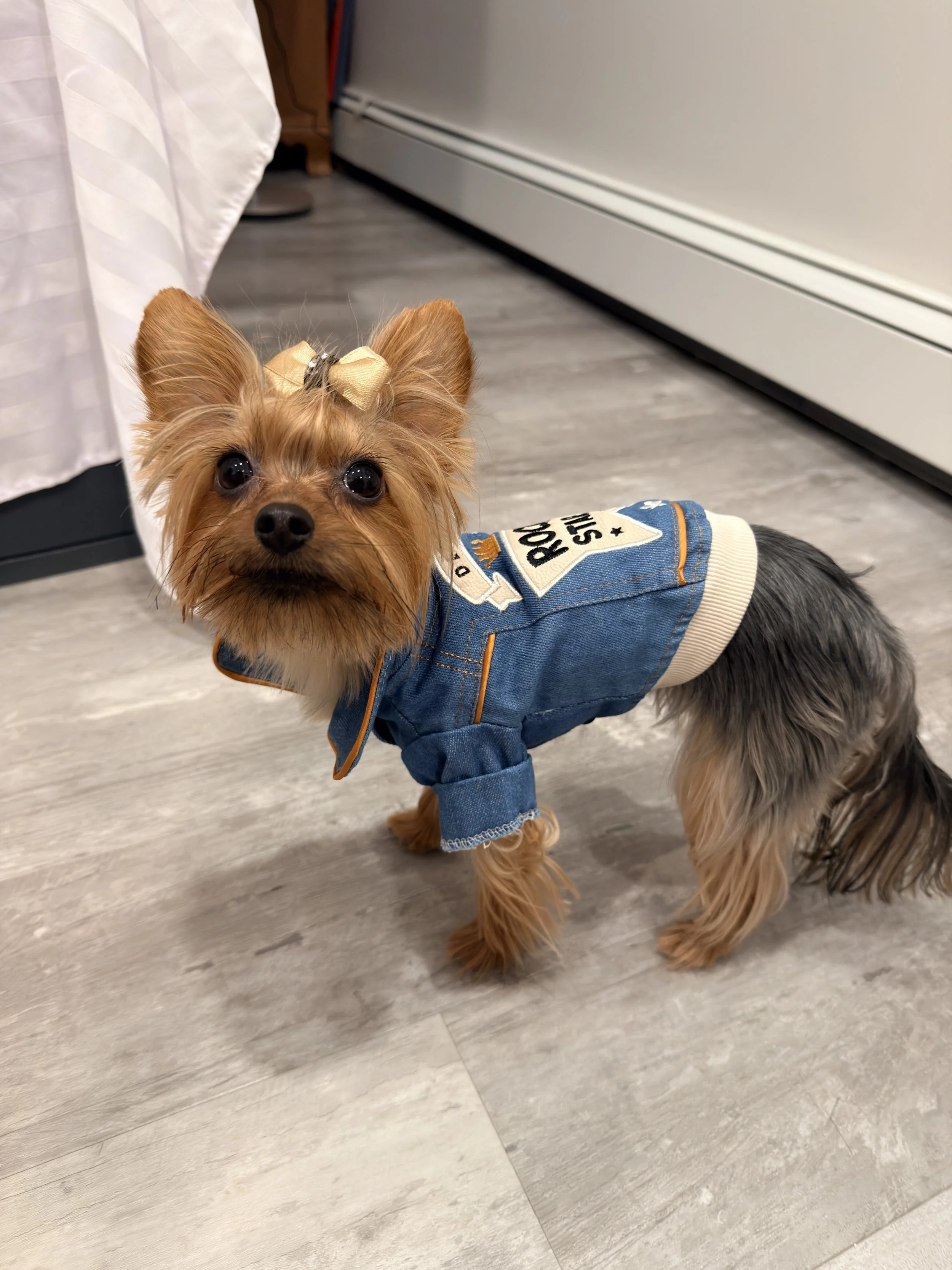 Zoe wearing a jacket for the CEO Zoe Diaries.