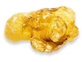 Boswelia Serrata another ingredient that helps to further strengthen the results delivered by Mobilee® and French maritime pine bark is Boswellia Serrata, a tree that originates in India.