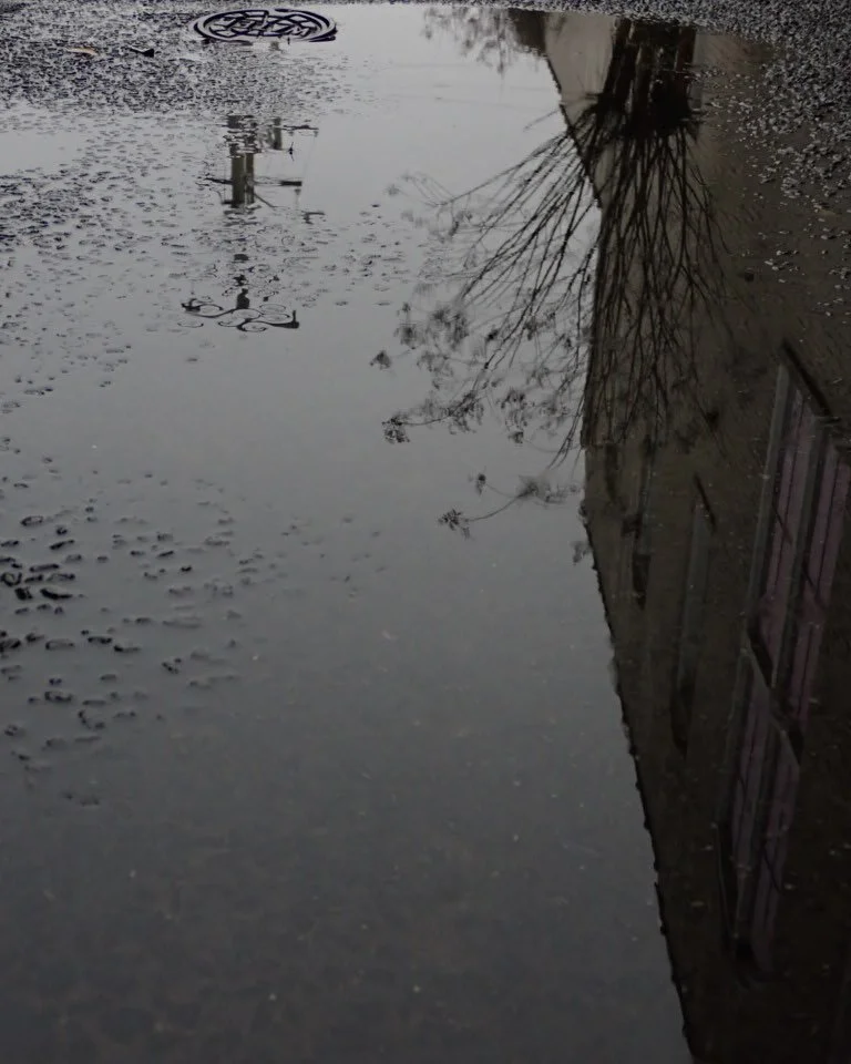 IMG_6738.jpeg