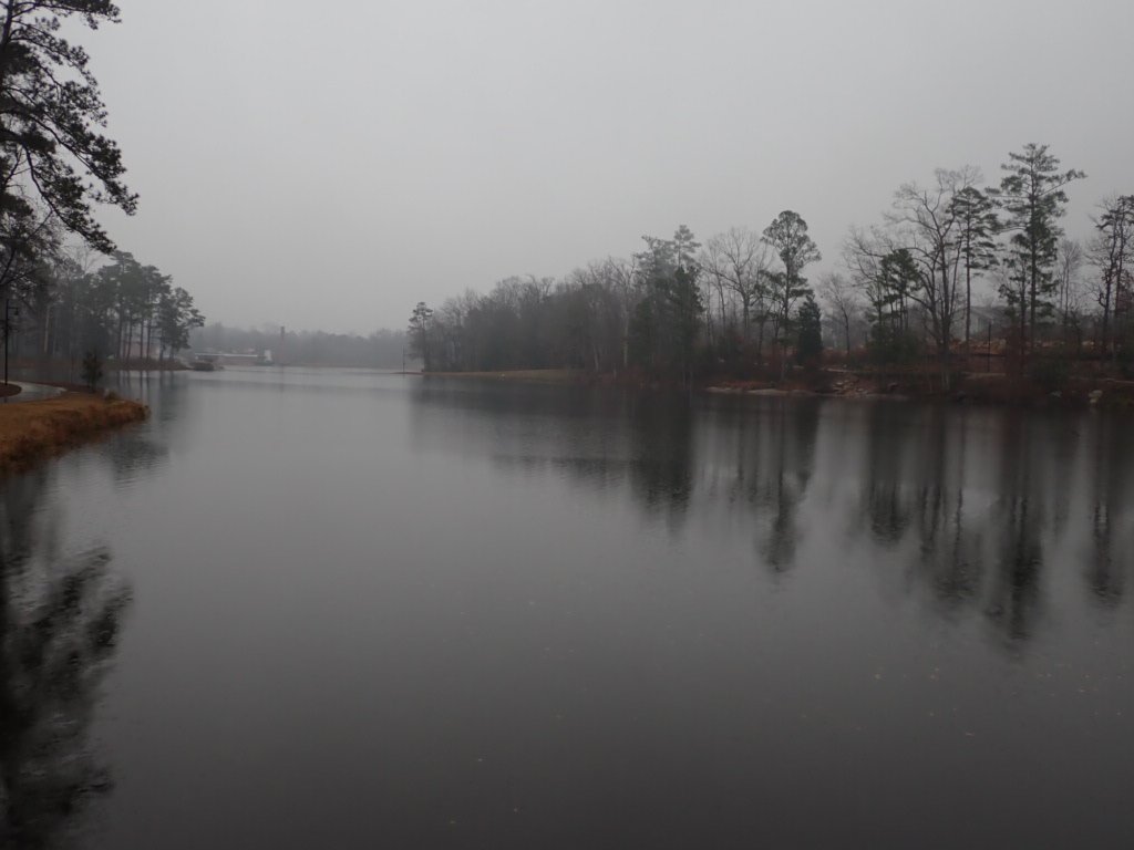 IMG_6759.jpeg