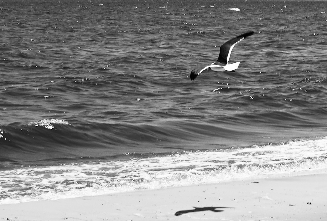 Along the Horizon