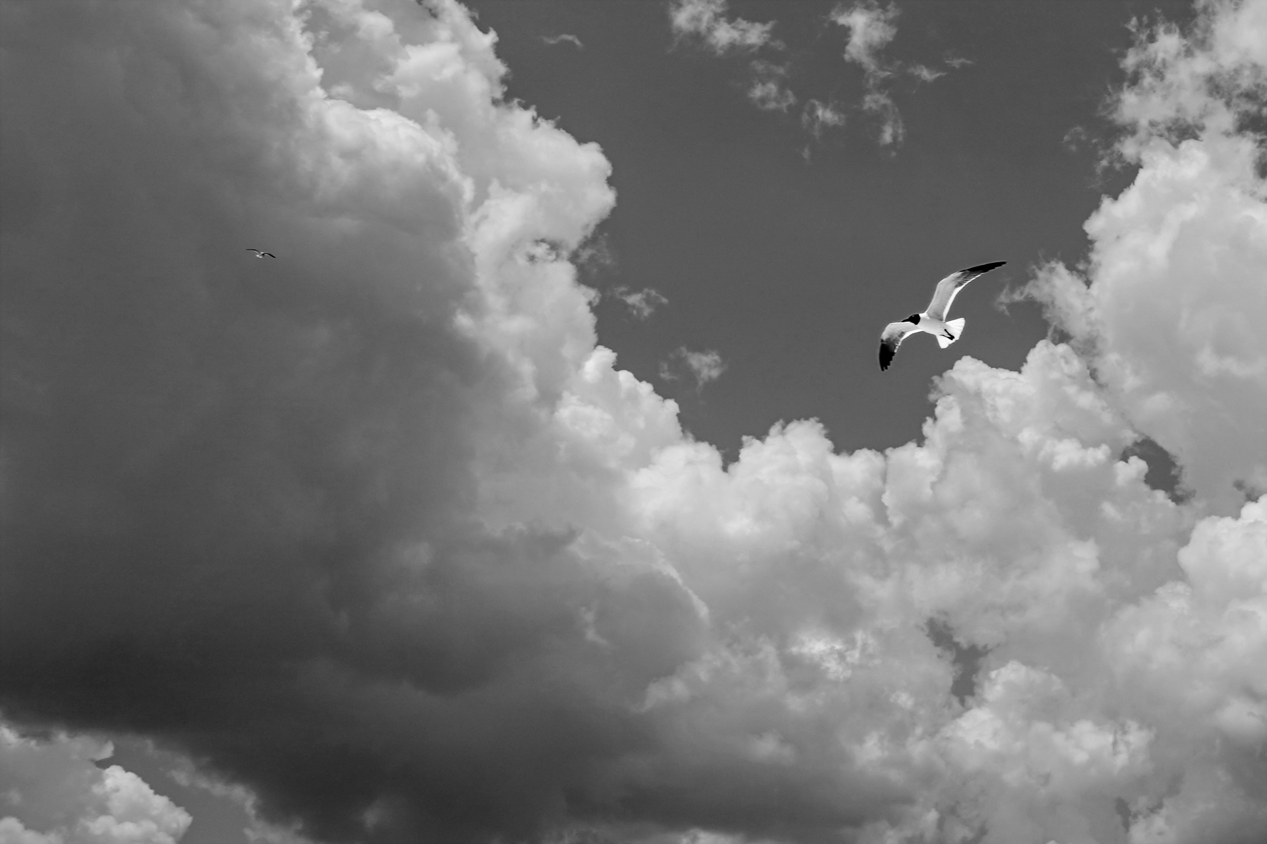Before the rain