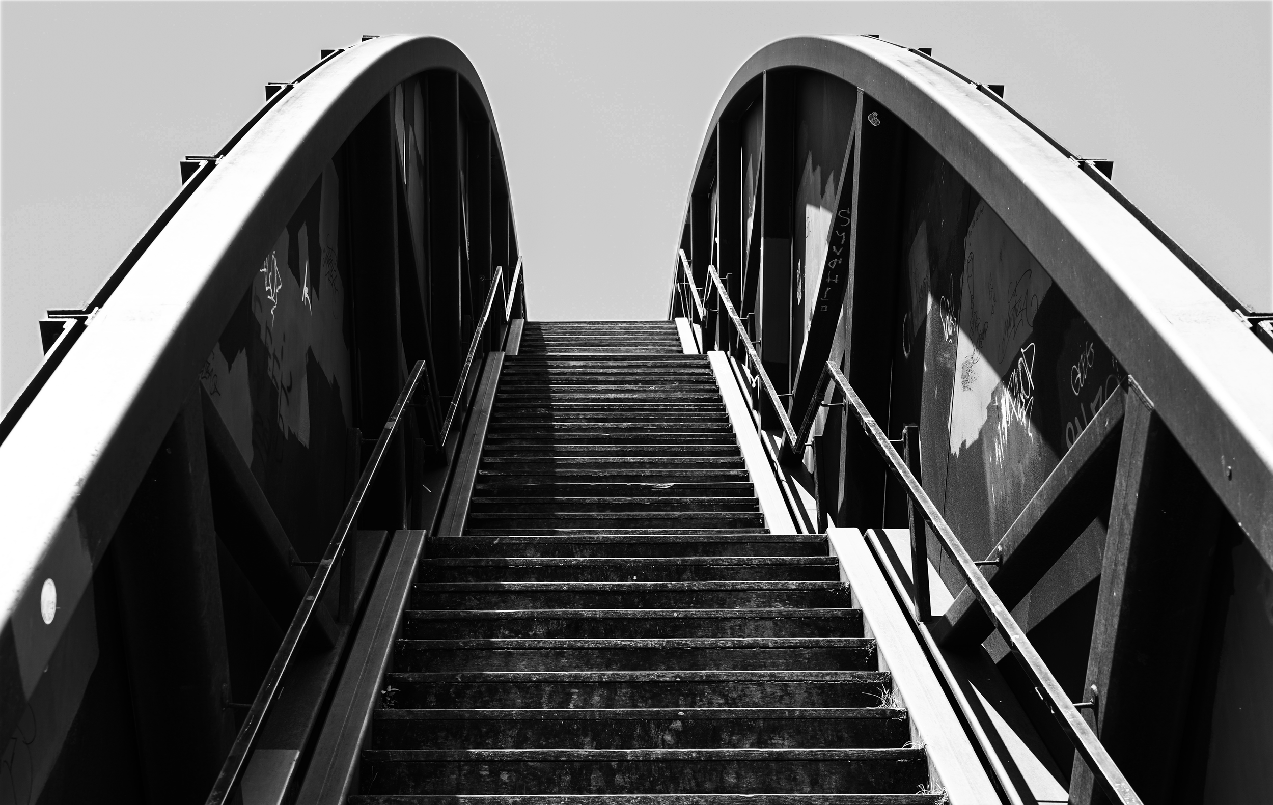 The First Step