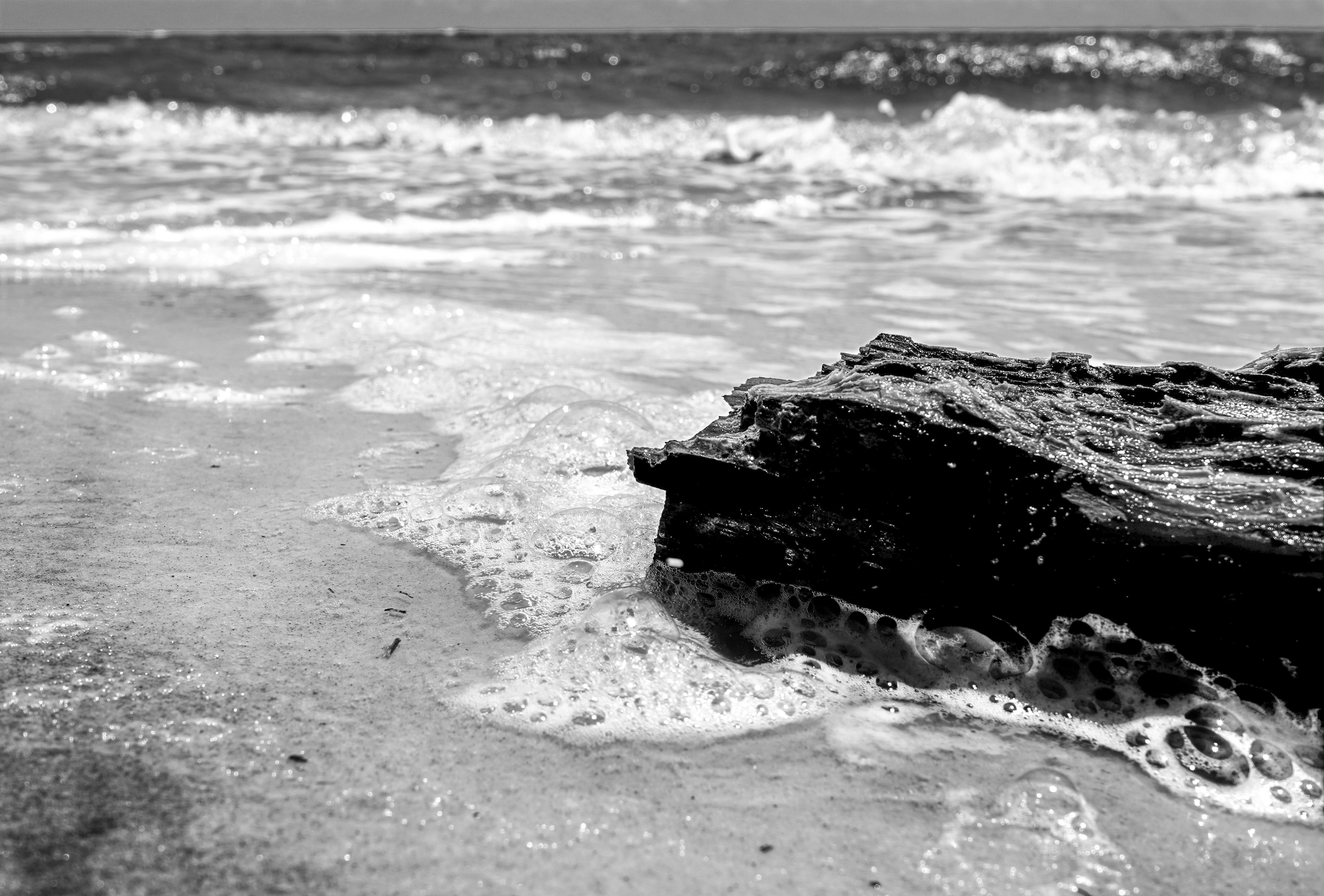 Where the Tide Rests