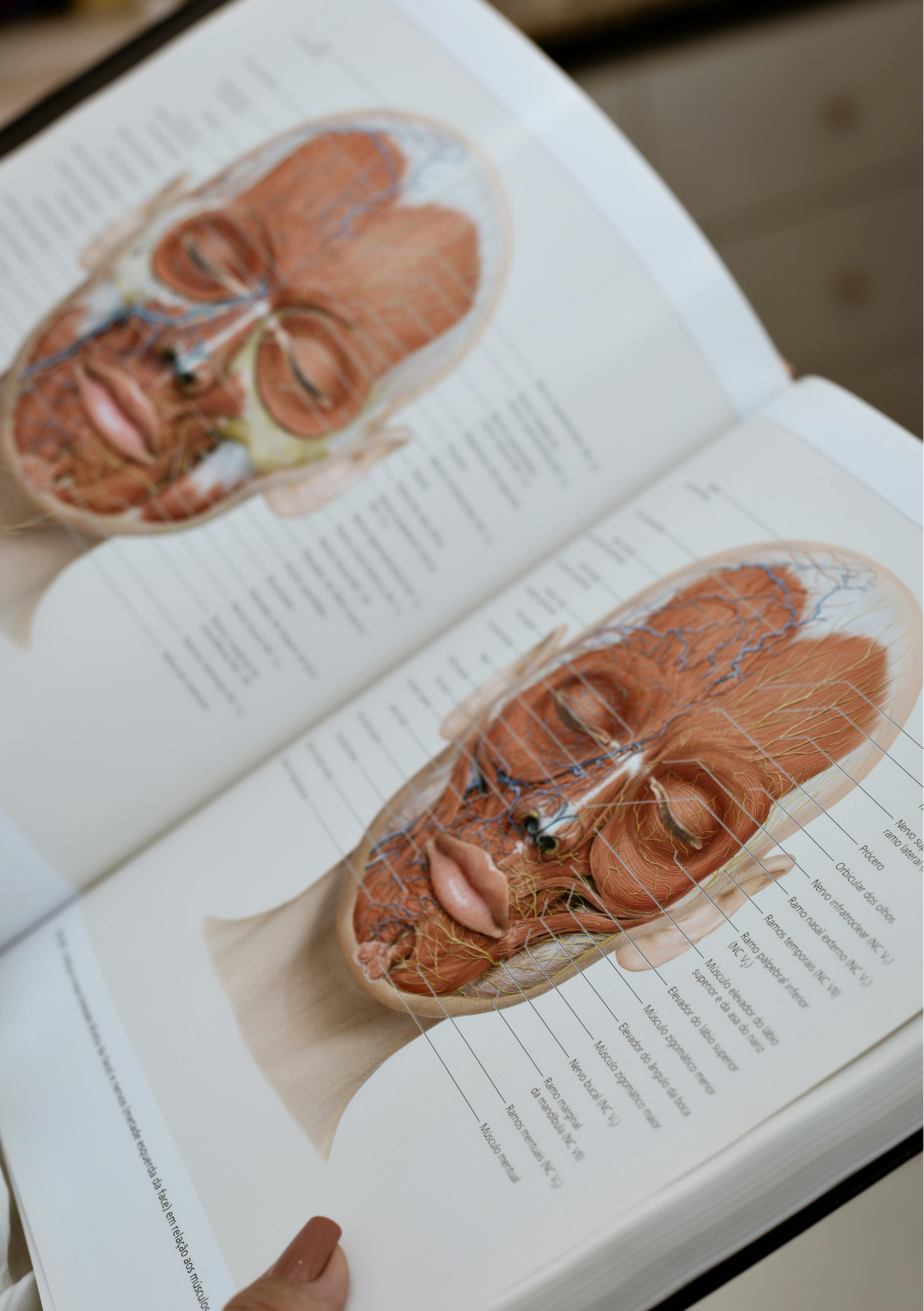A textbook open to a detailed illustration of the human head, showing muscles, nerves, and internal structures of the face and head.