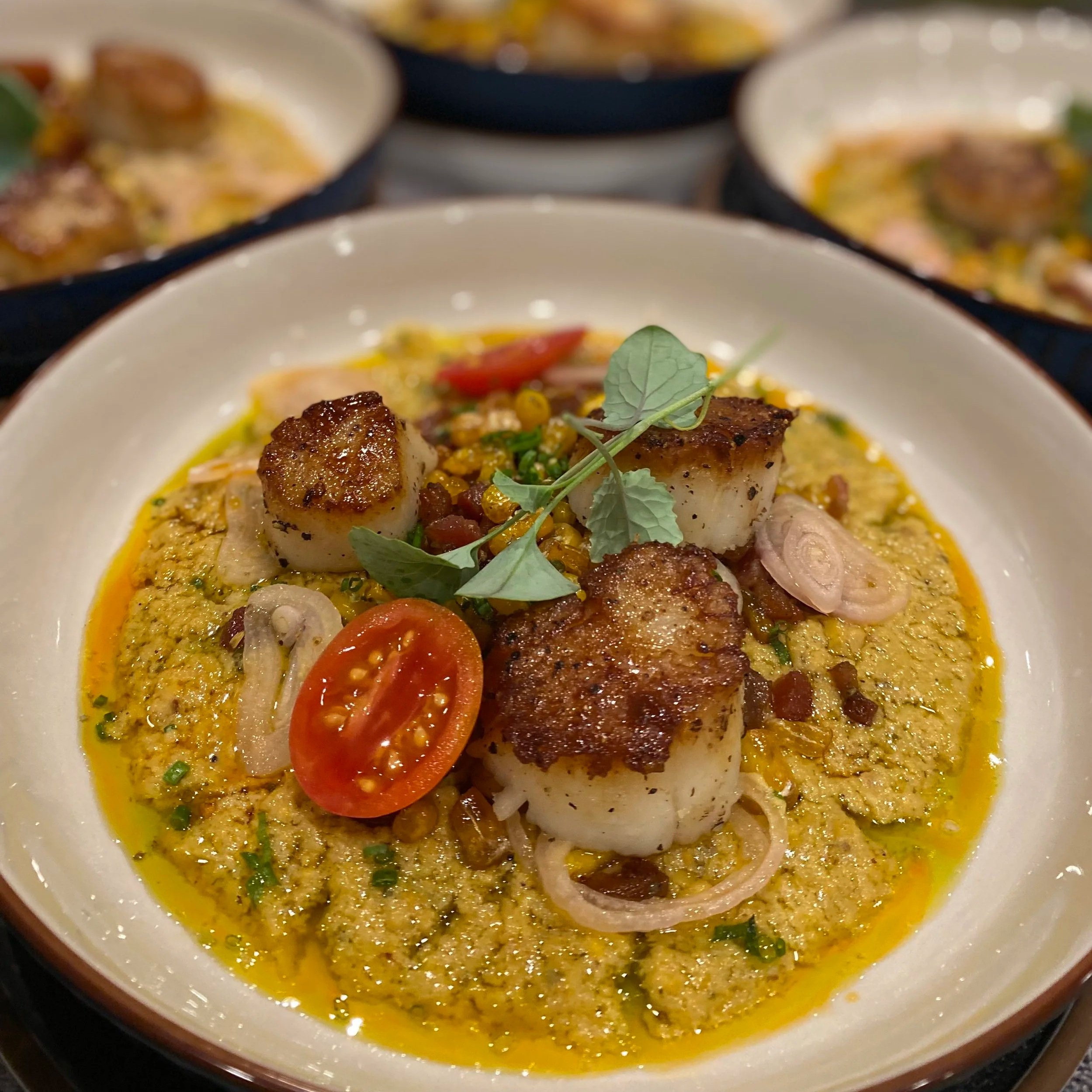 Close-up of a bowl of cooked food with seared scallops, cherry tomatoes, herbs, and a yellow sauce.