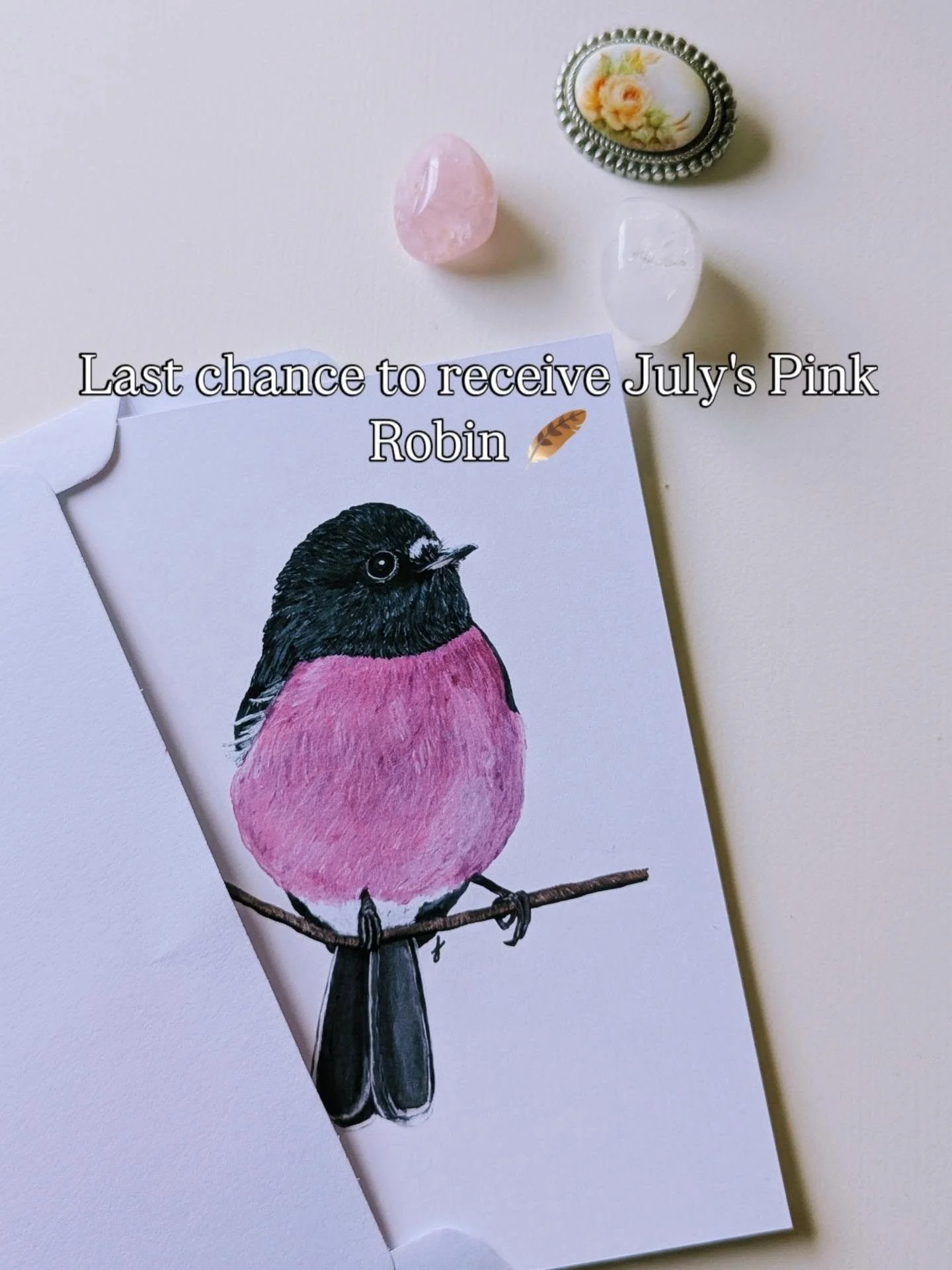 🪶 Last chance to receive July's Pink Robin.

Orders close TONIGHT, and then I'll begin packing Bird Mail ready to post during the first week of August.

Each Bird Mail includes an original Pink Robin postcard, thoughtfully packed by hand in Tasmania