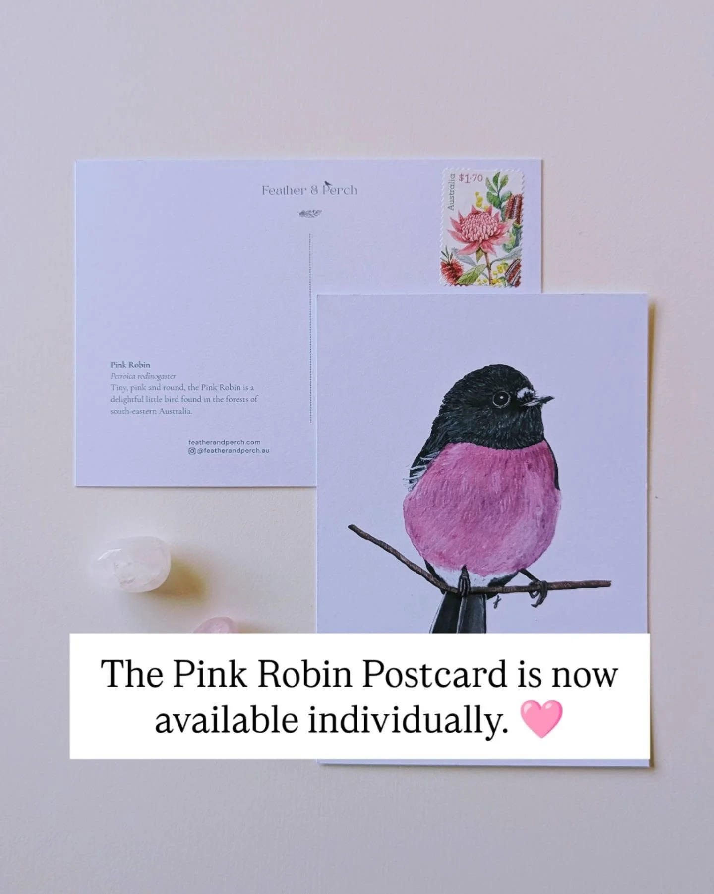 Missed July's Bird Mail? 🩷🪶

The Pink Robin Postcard is now available individually in the Feather &amp; Perch shop.

Created from my original gouache painting, this little postcard is made for sending, collecting or simply keeping for yourself. 💌
