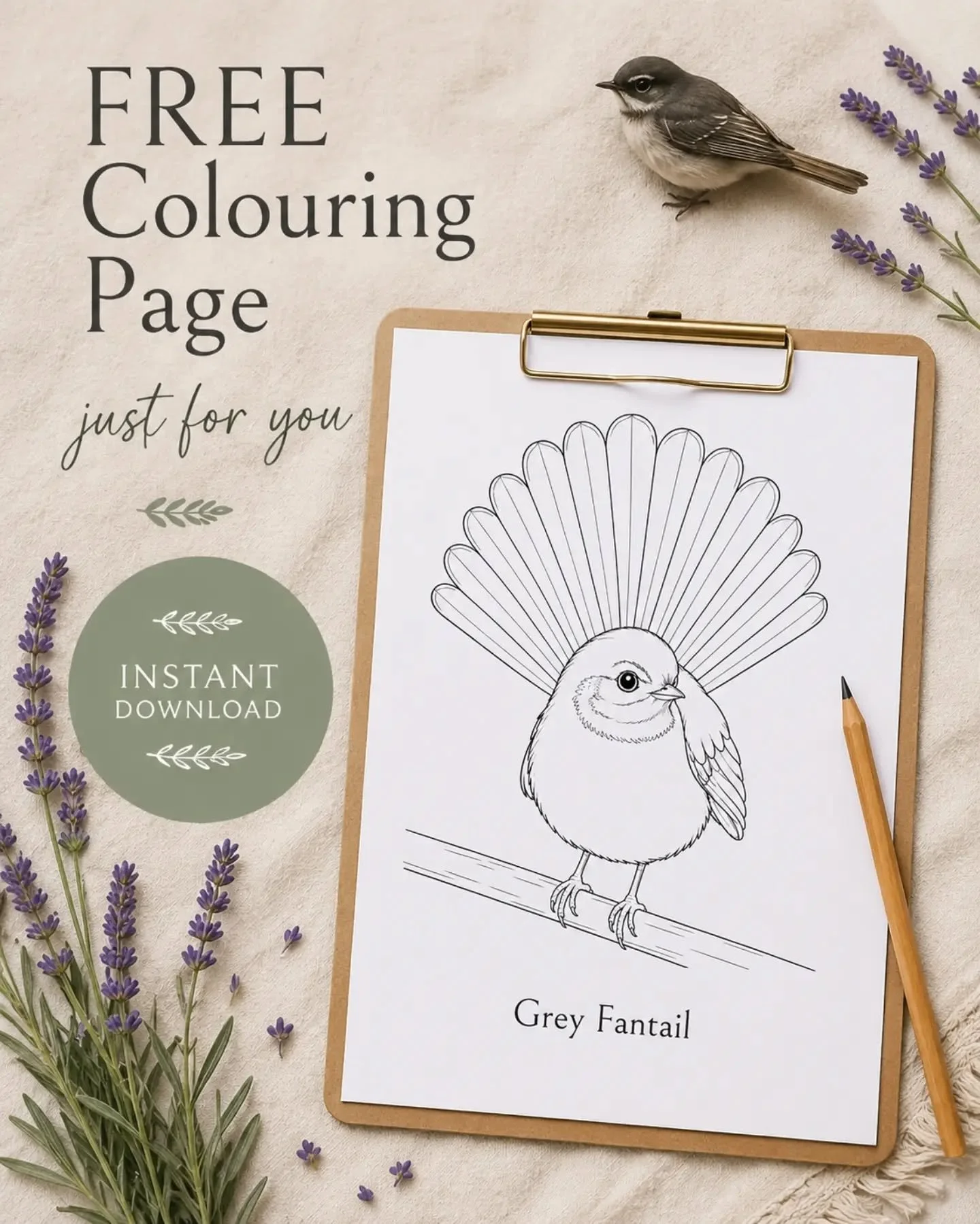 A little something free for fellow bird lovers 🤍🐦

I&rsquo;ve turned my Grey Fantail into a free colouring page for you to download, print and enjoy.

It&rsquo;s perfect for a quiet afternoon, a creative break, keeping little hands busy, or just sp