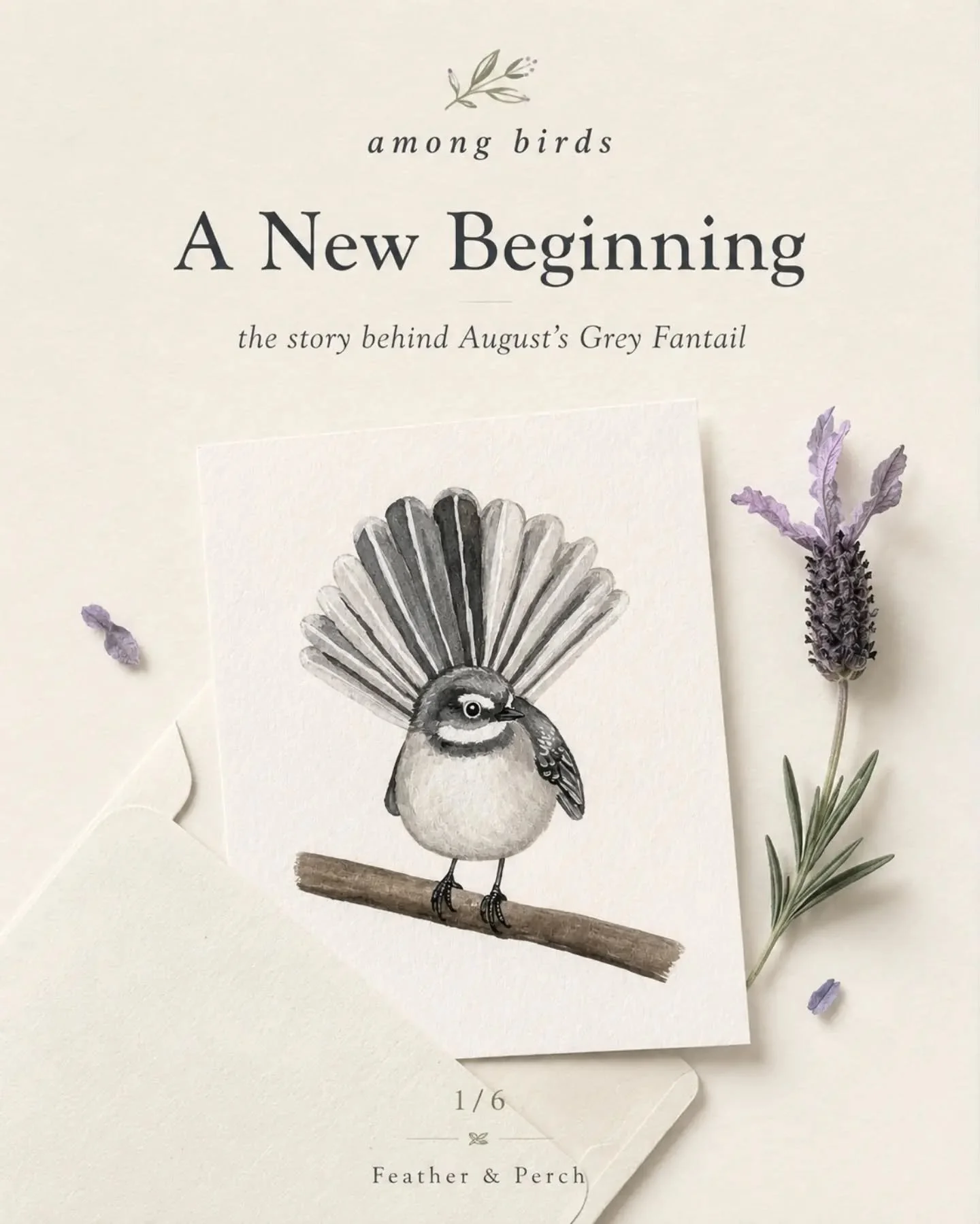 Some birds stay with us long after the moment has passed 🤍🐦

For me, one of those birds is the Grey Fantail.

I first noticed a young Grey Fantail during a difficult time in my life, when I was slowly beginning to find my way forward again.

It was