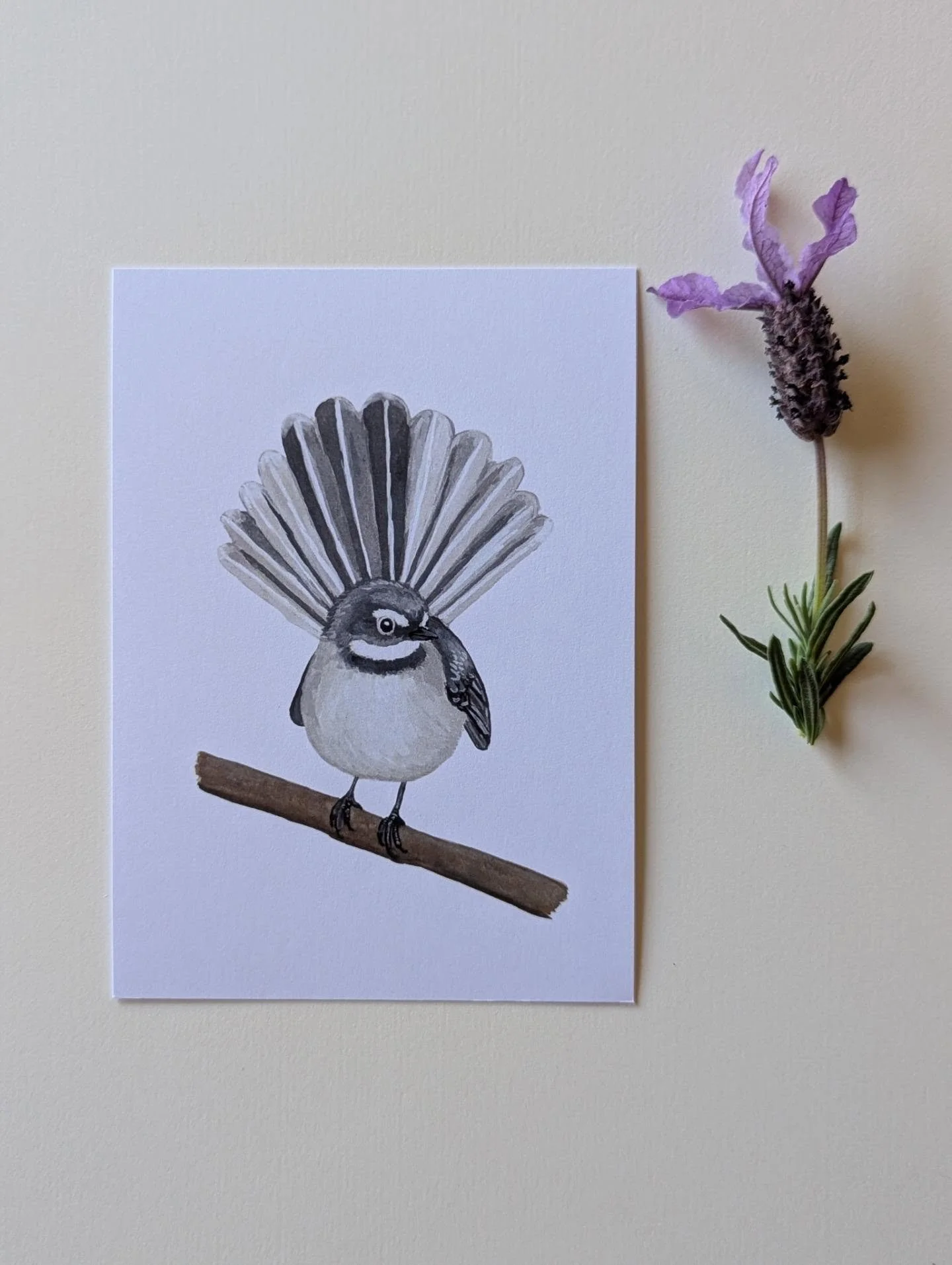 Last chance for August Bird Mail 💌

Today is the final day to join the Feather &amp; Perch Bird Postcard Club and receive this month&rsquo;s Grey Fantail postcard.

A little piece of Australian bird art, painted in gouache and sent to your letterbox