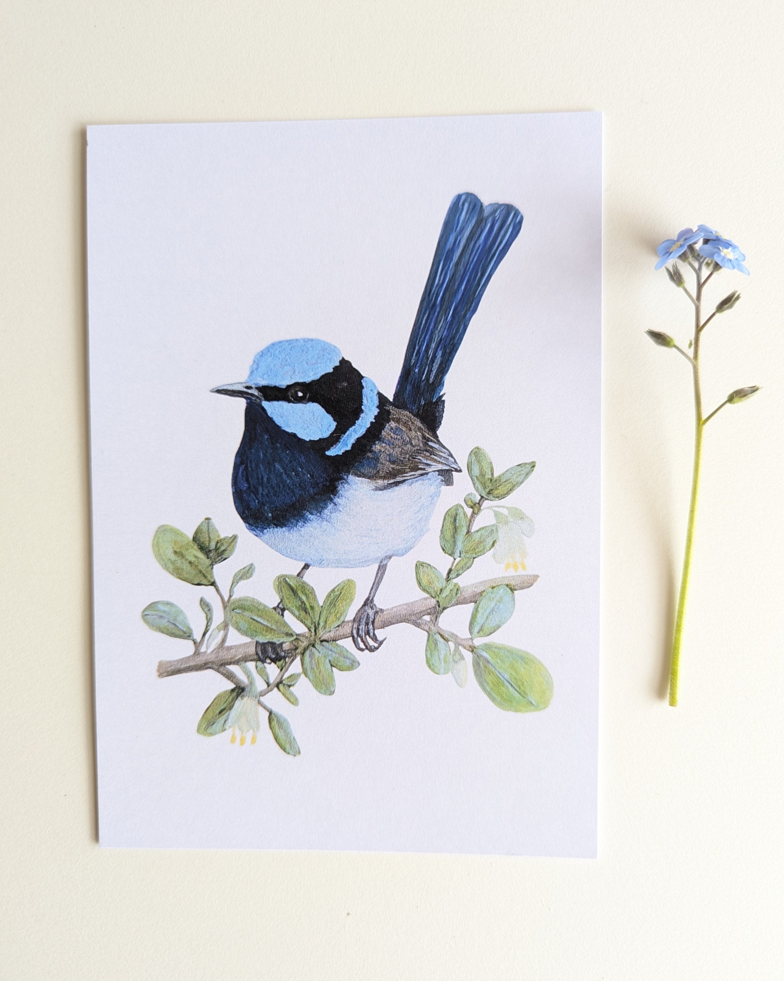 Bird Postcard Club
