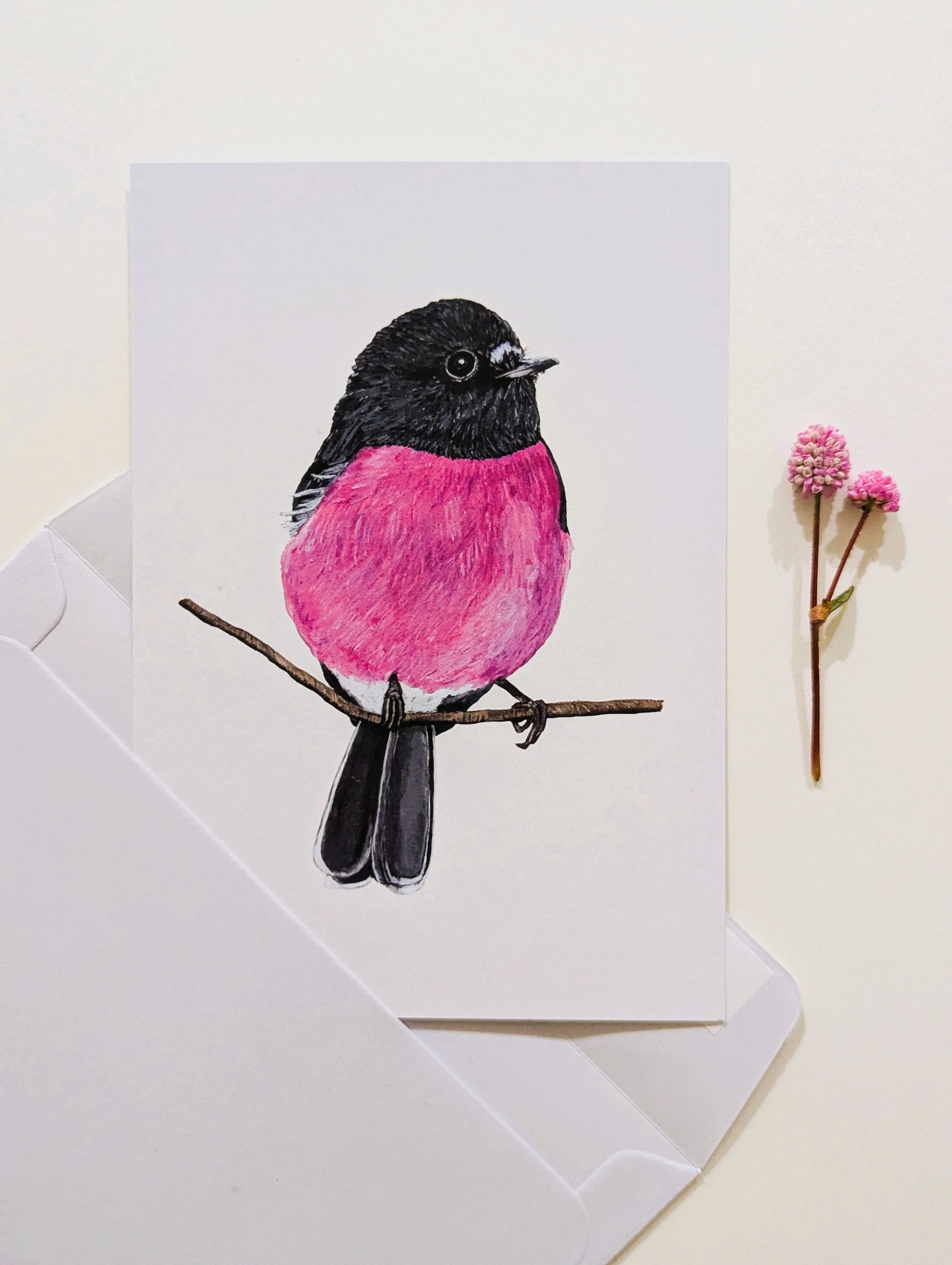 Pink Robin Postcard