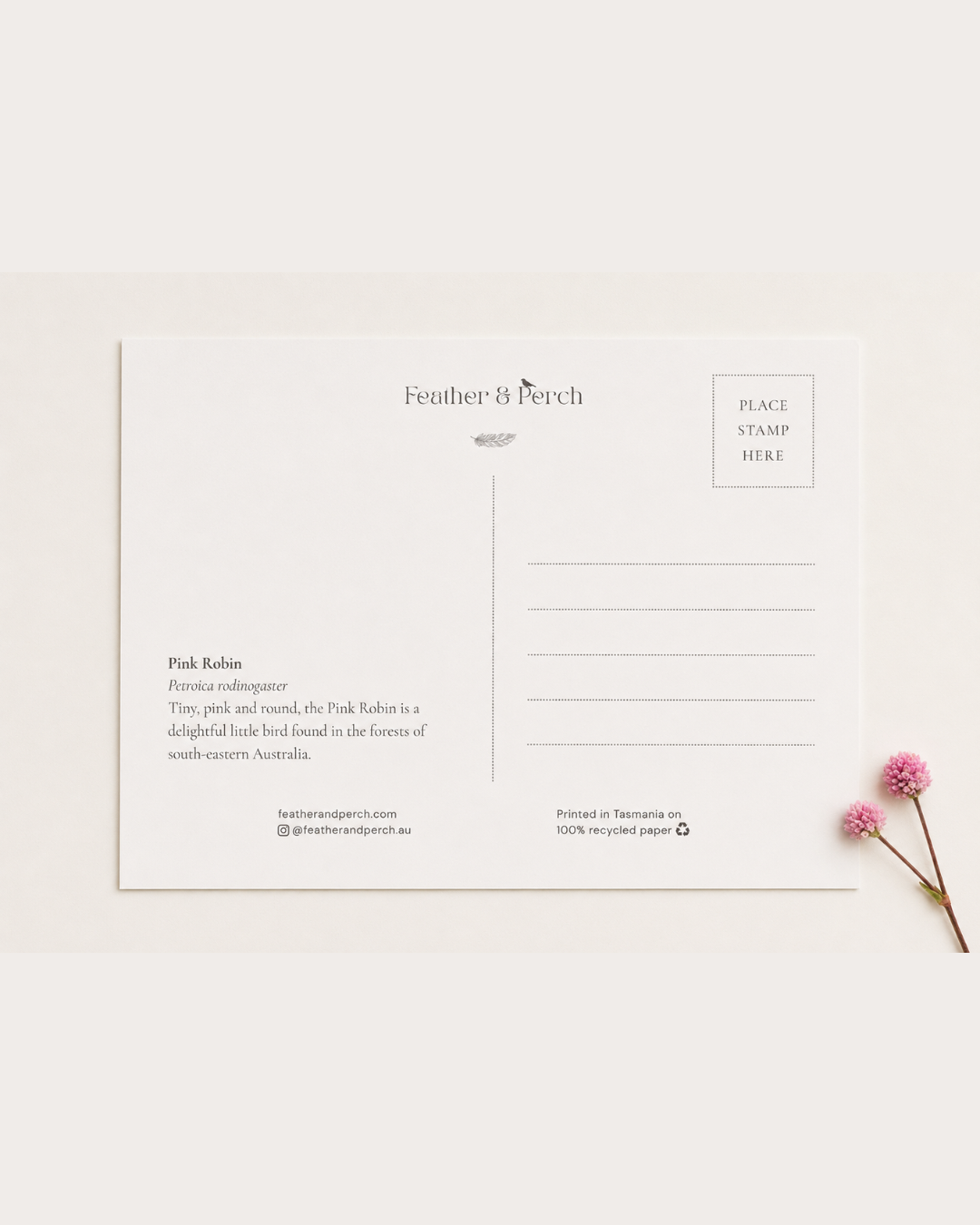 Back of Postcard 54.png